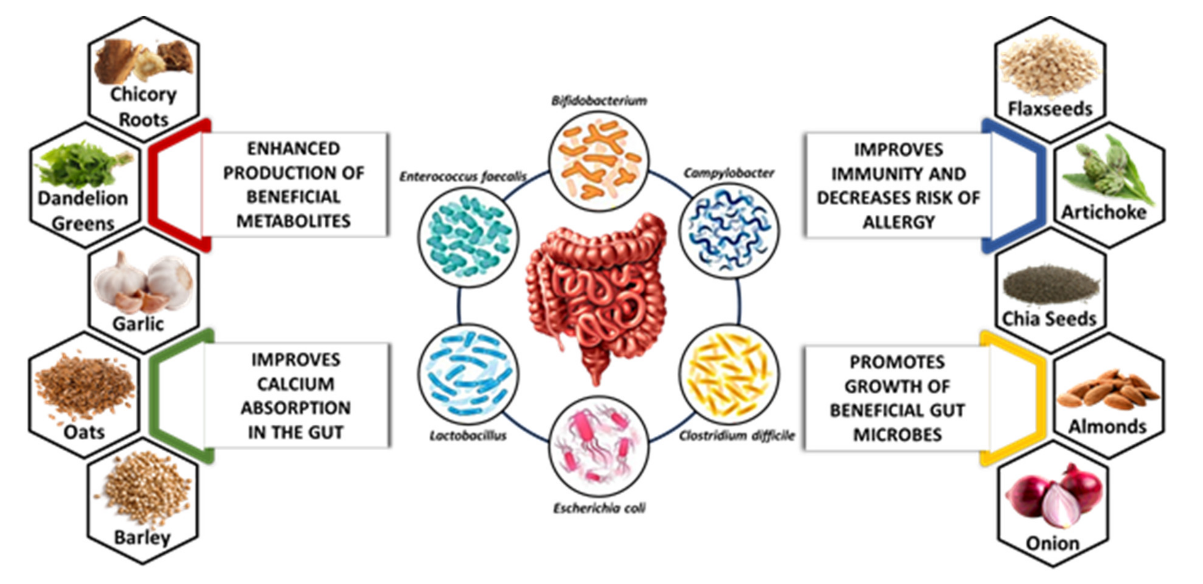 Biomolecules 11 00440 g001 Biomolecules 11 00440 g001