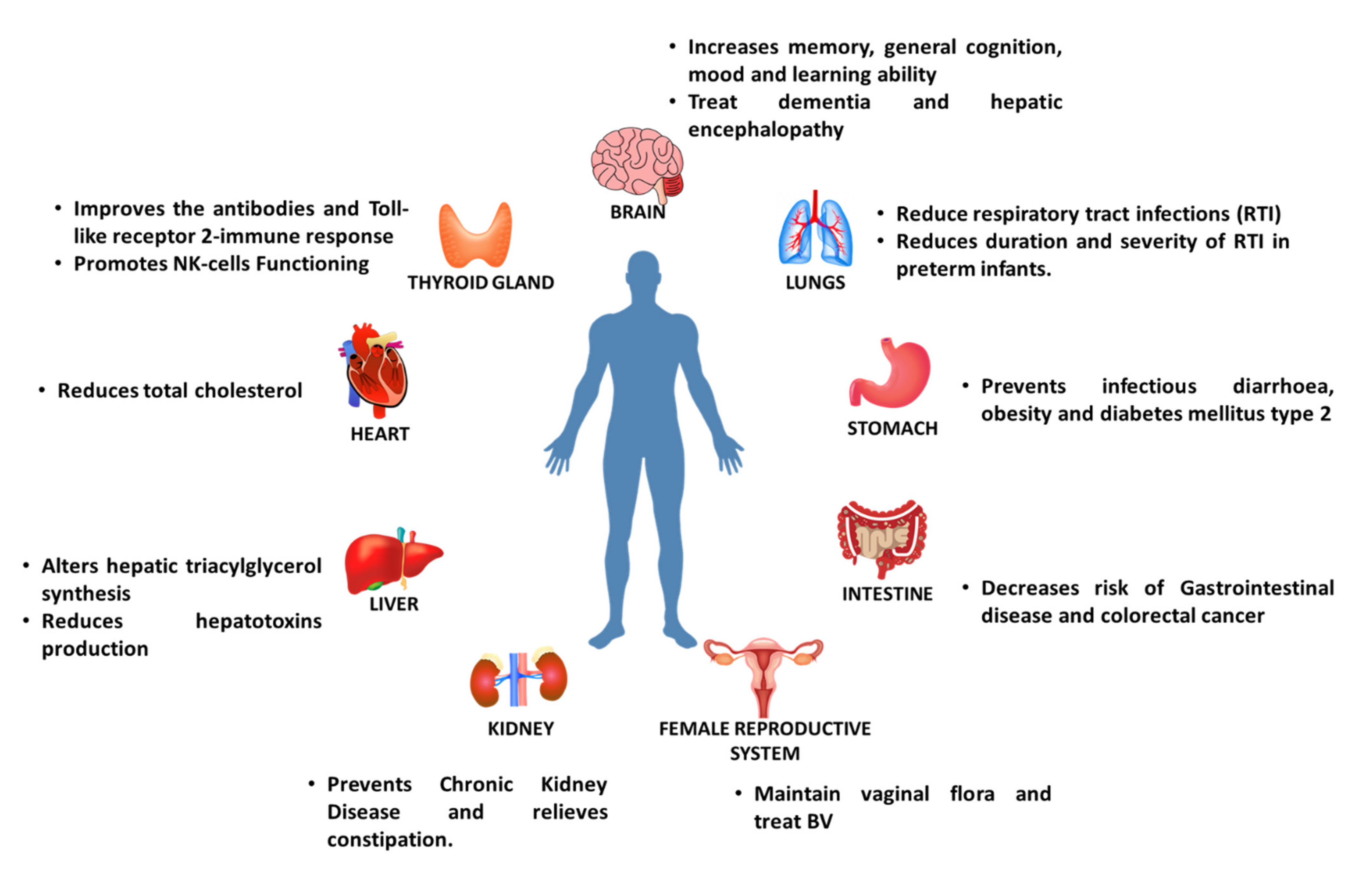 Biomolecules 11 00440 g002 Biomolecules 11 00440 g002