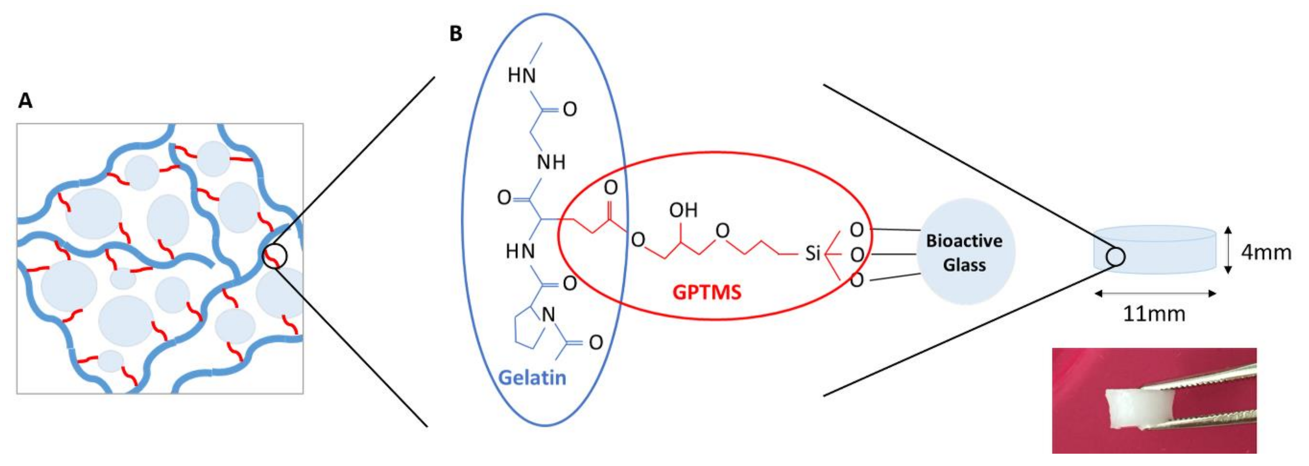 Biomolecules 11 00444 g001 Biomolecules 11 00444 g001