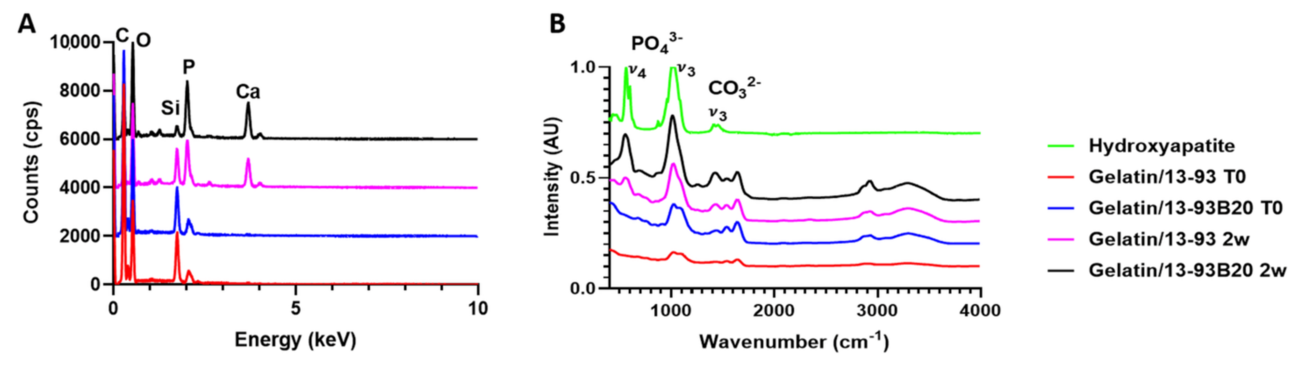 Biomolecules 11 00444 g009 Biomolecules 11 00444 g009
