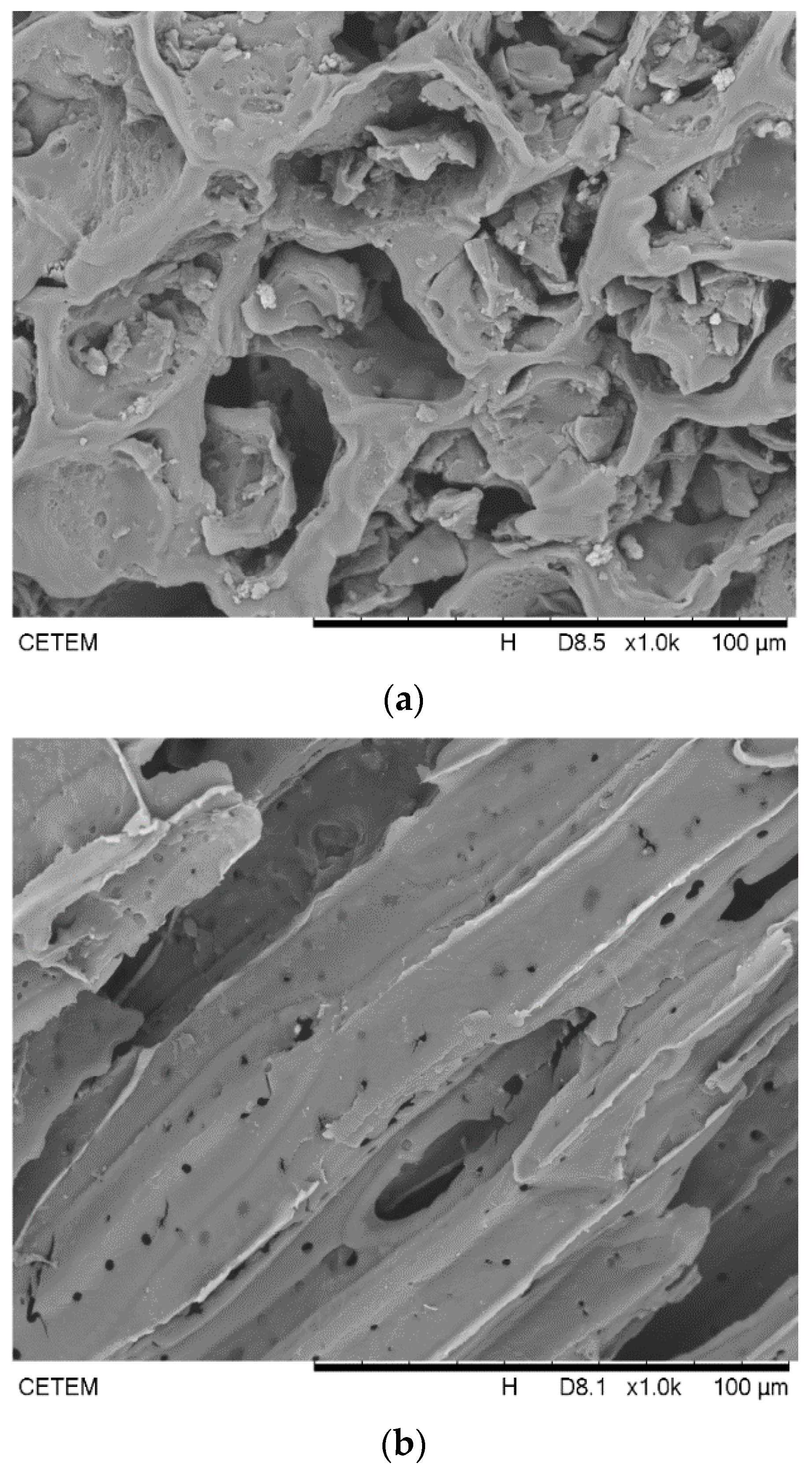 Biomolecules 11 00445 g004a