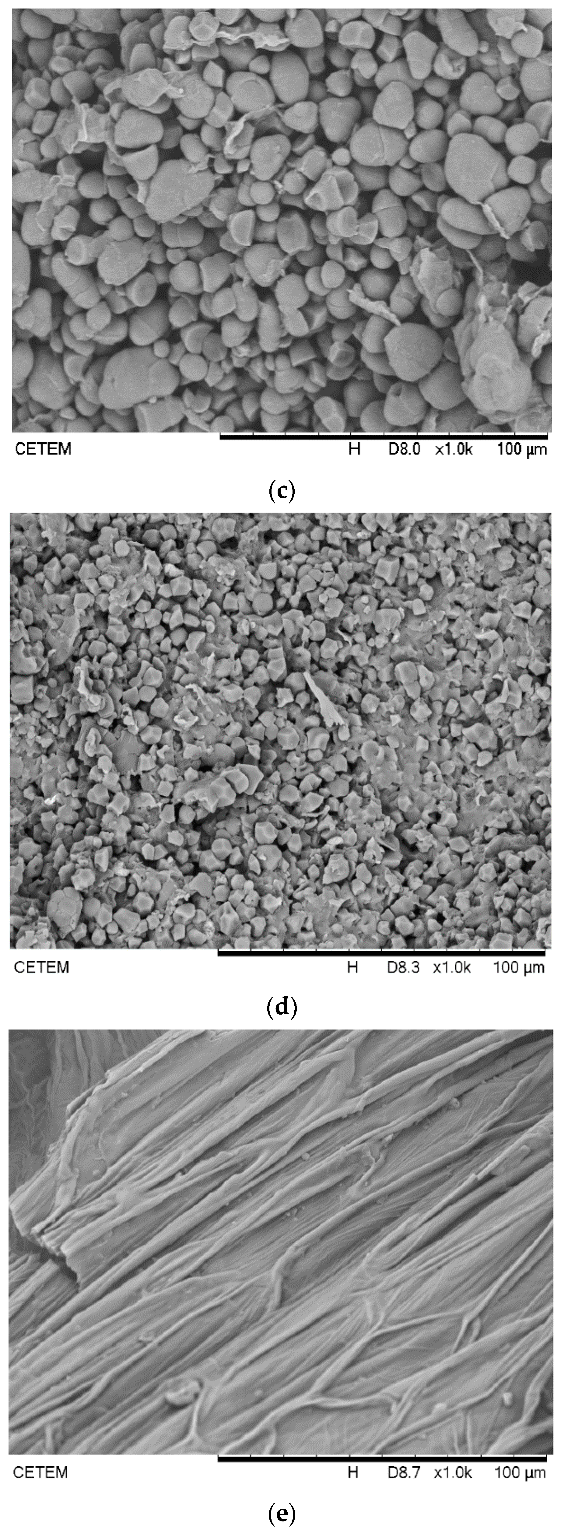 Biomolecules 11 00445 g004b