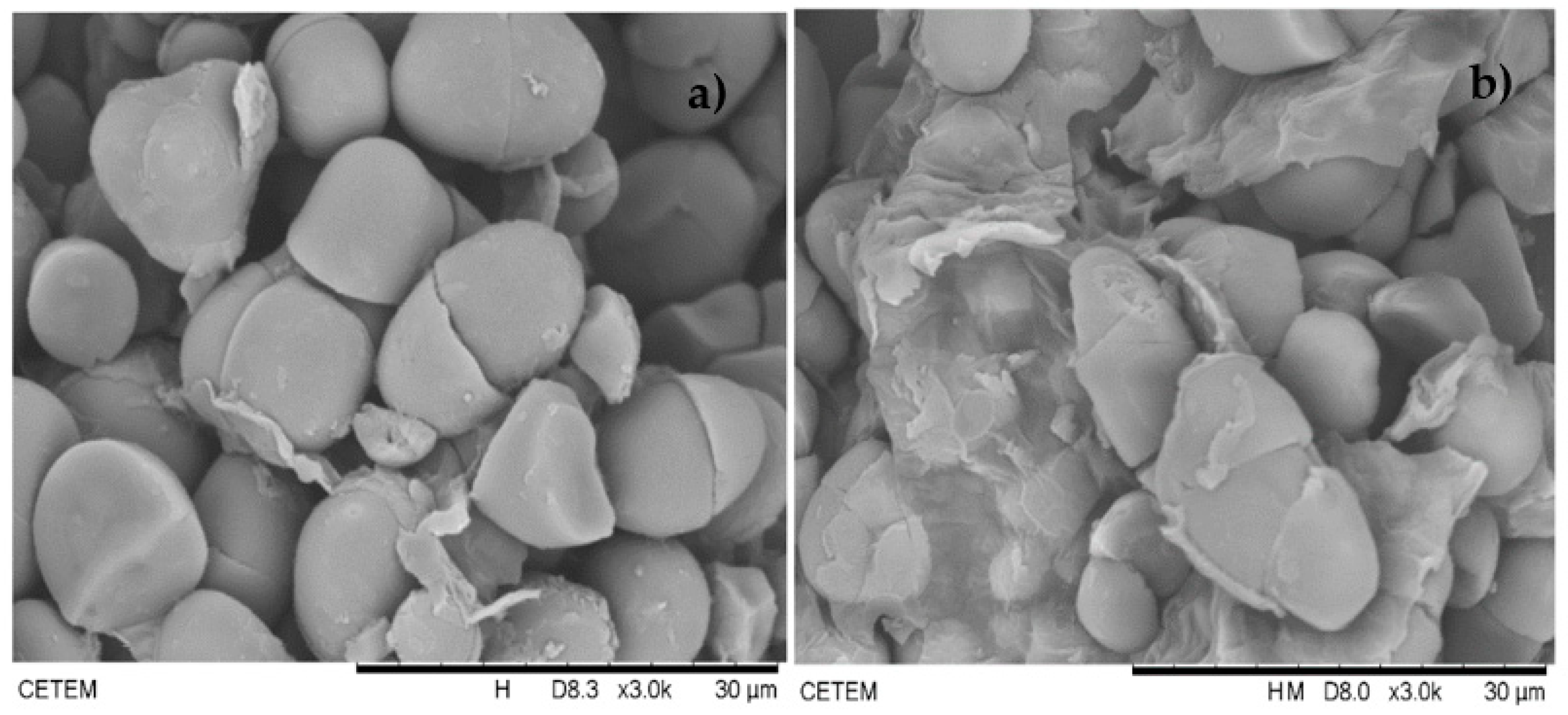 Biomolecules 11 00445 g007