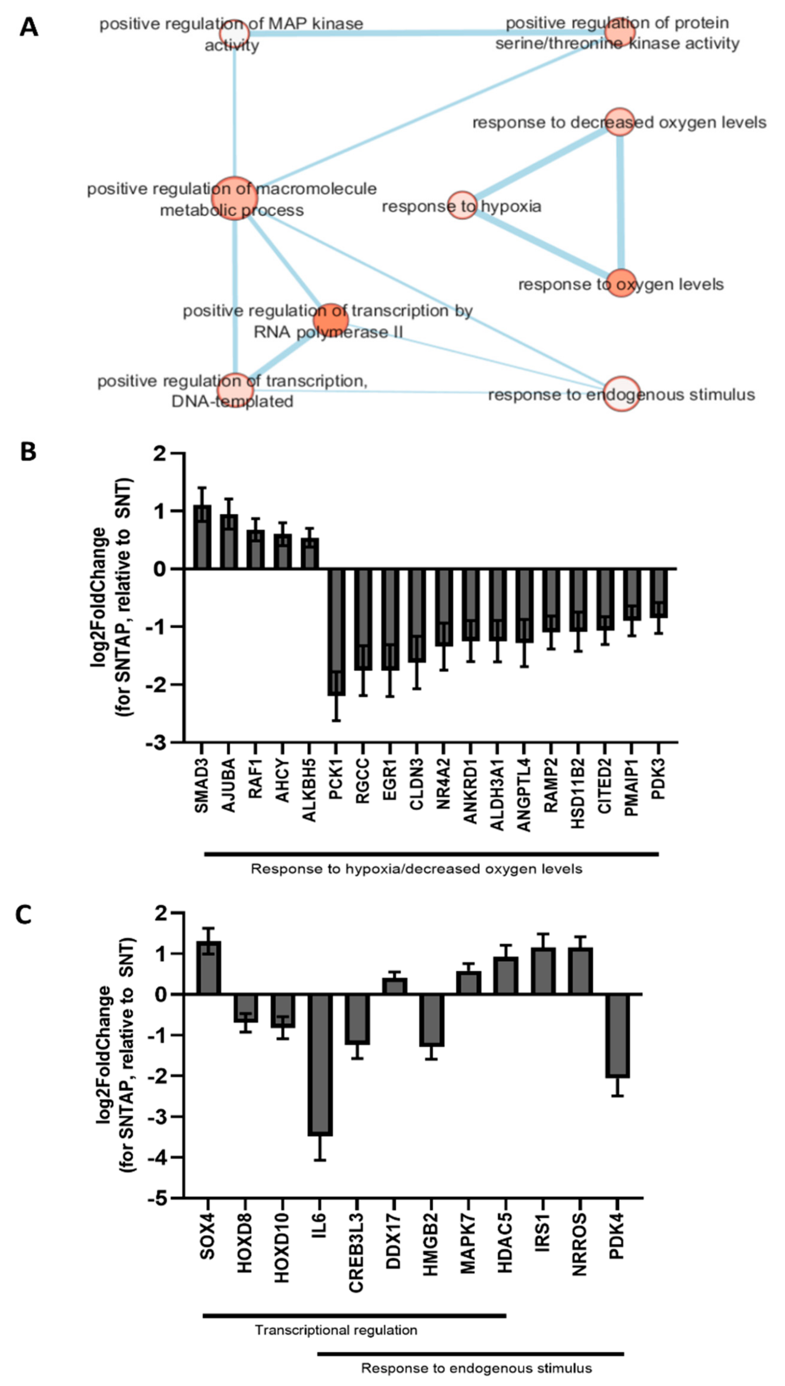 Biomolecules 11 00446 g006 Biomolecules 11 00446 g006