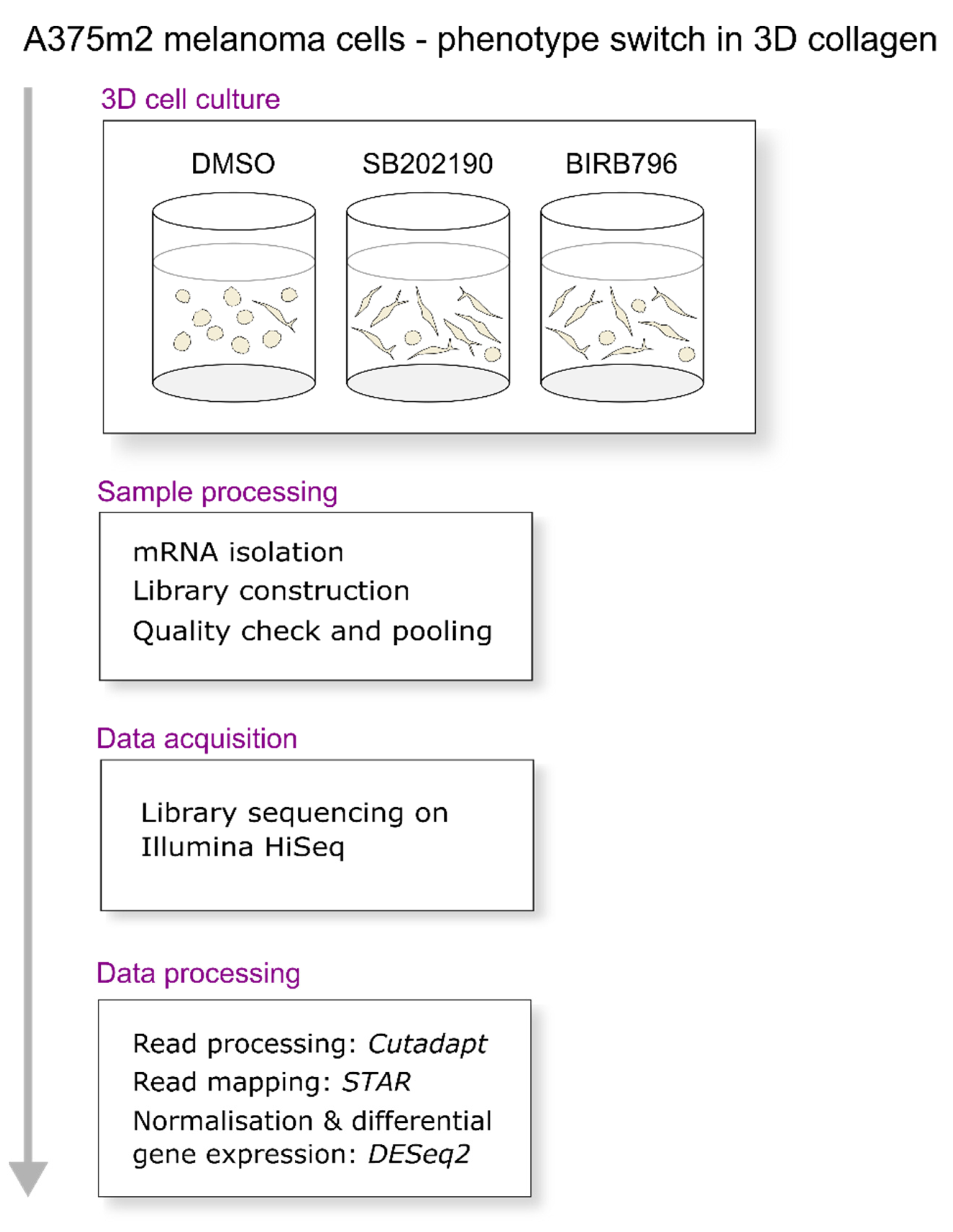 Biomolecules 11 00449 g003