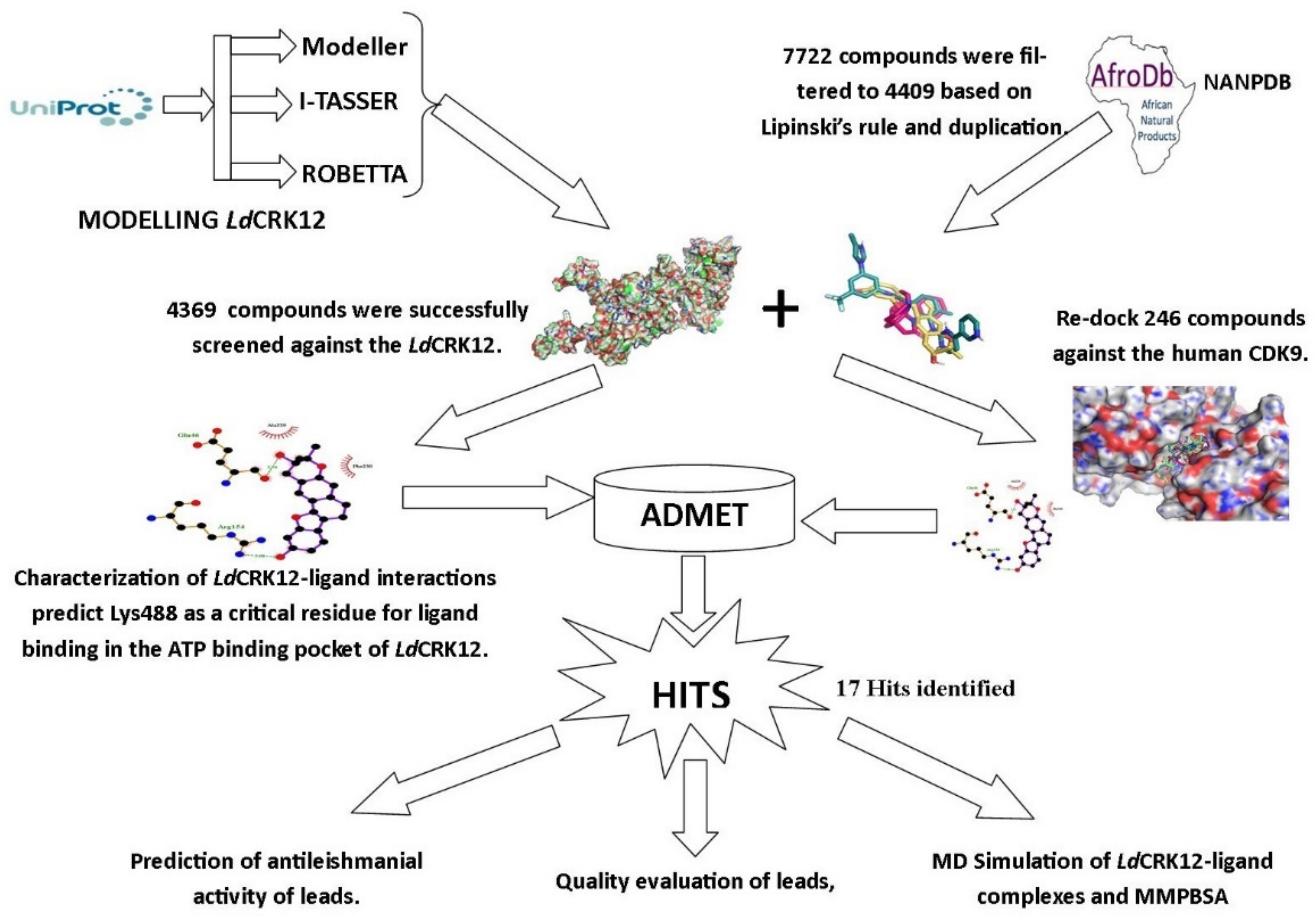 Biomolecules 11 00458 g001 Biomolecules 11 00458 g001