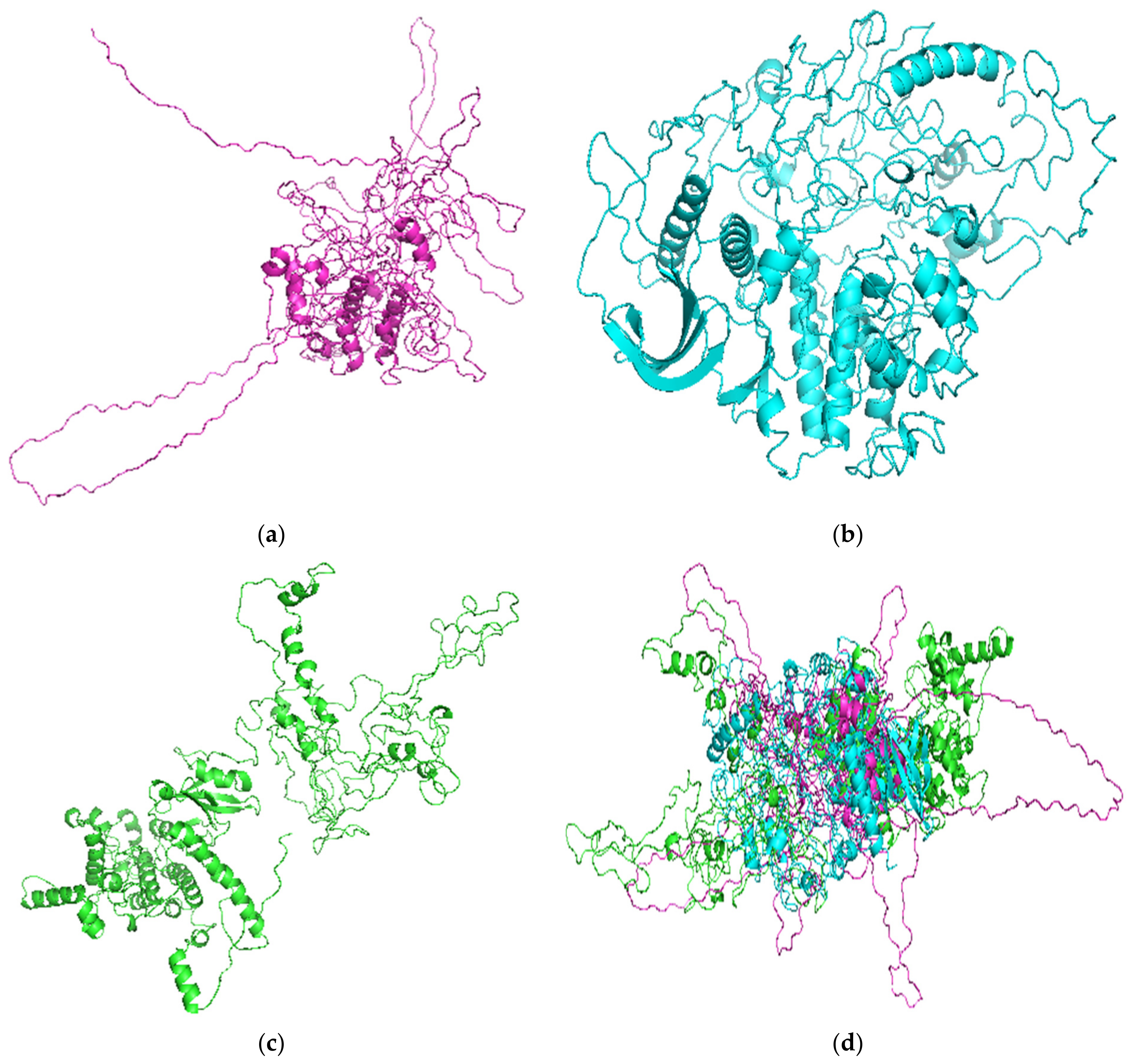 Biomolecules 11 00458 g002 Biomolecules 11 00458 g002