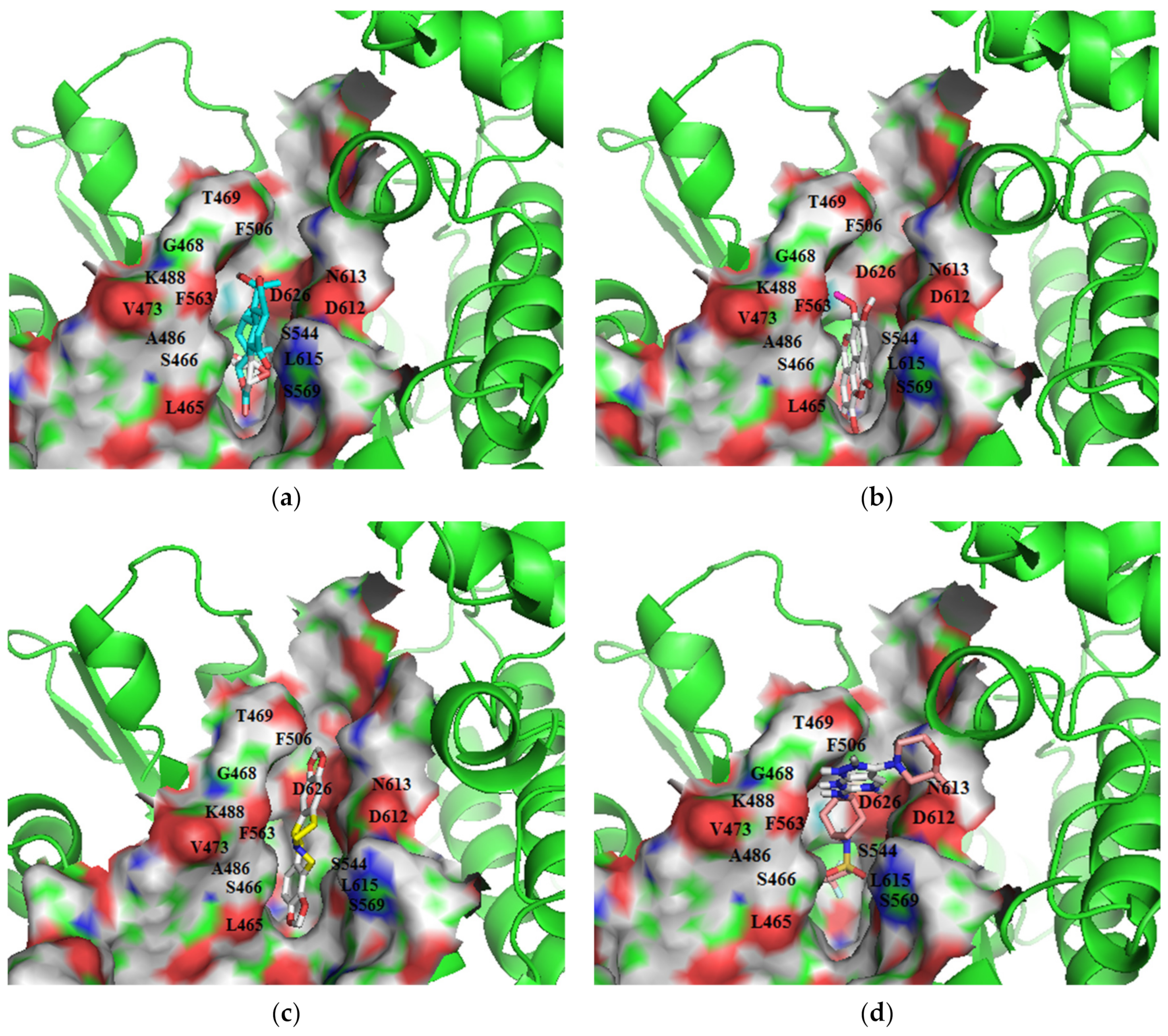 Biomolecules 11 00458 g006 Biomolecules 11 00458 g006
