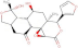 Biomolecules 11 00458 i001