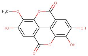 Biomolecules 11 00458 i002
