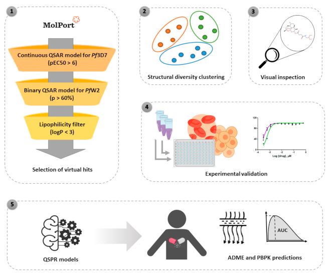Biomolecules 11 00459 g001