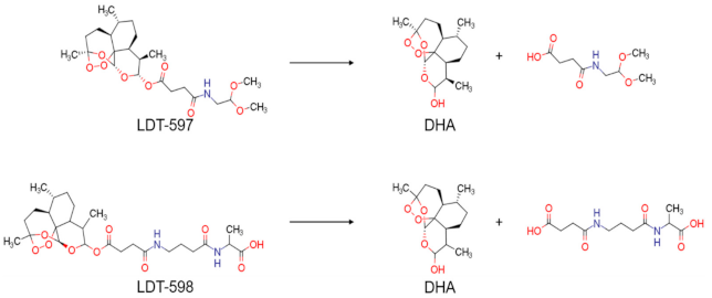 Biomolecules 11 00459 g004