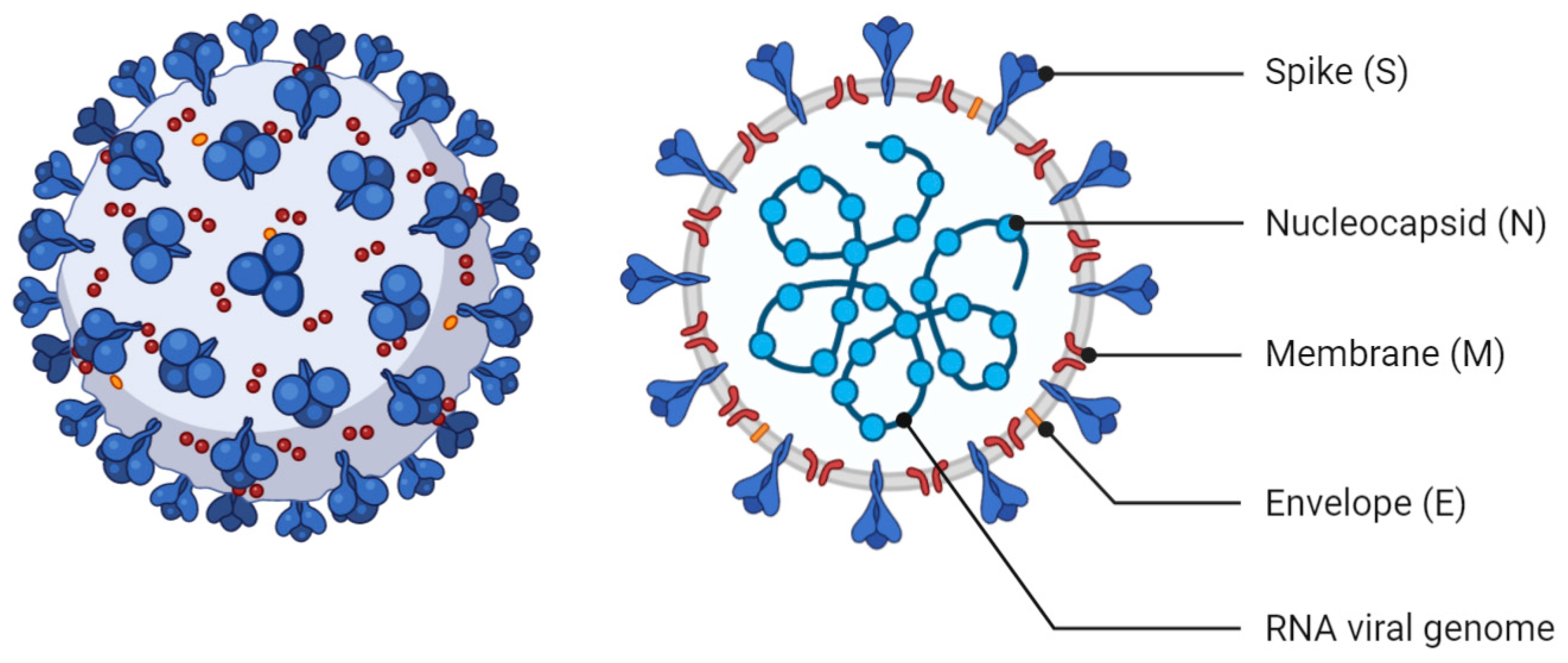 Biomolecules 11 00460 g001 Biomolecules 11 00460 g001