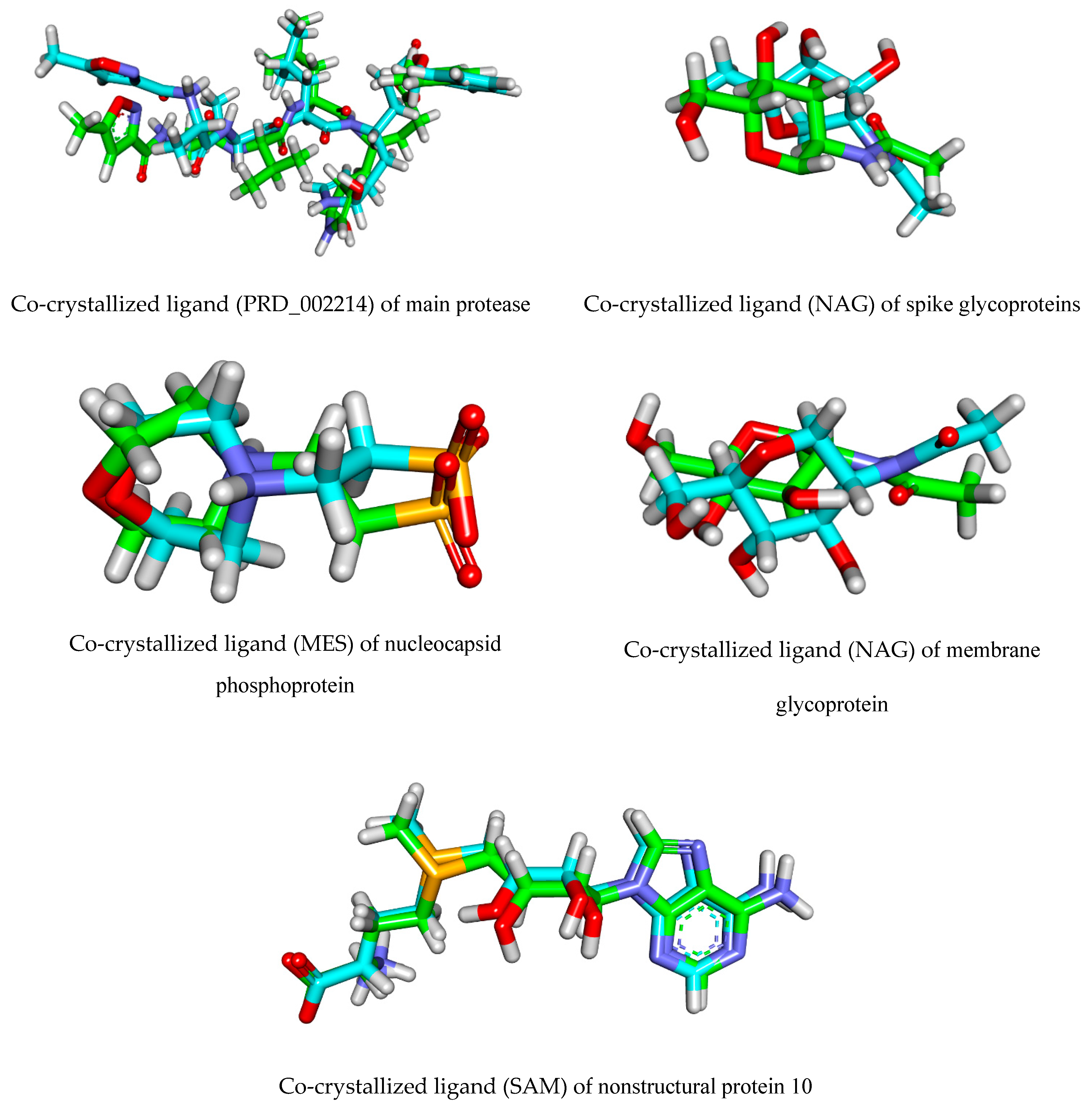 Biomolecules 11 00460 g002 Biomolecules 11 00460 g002