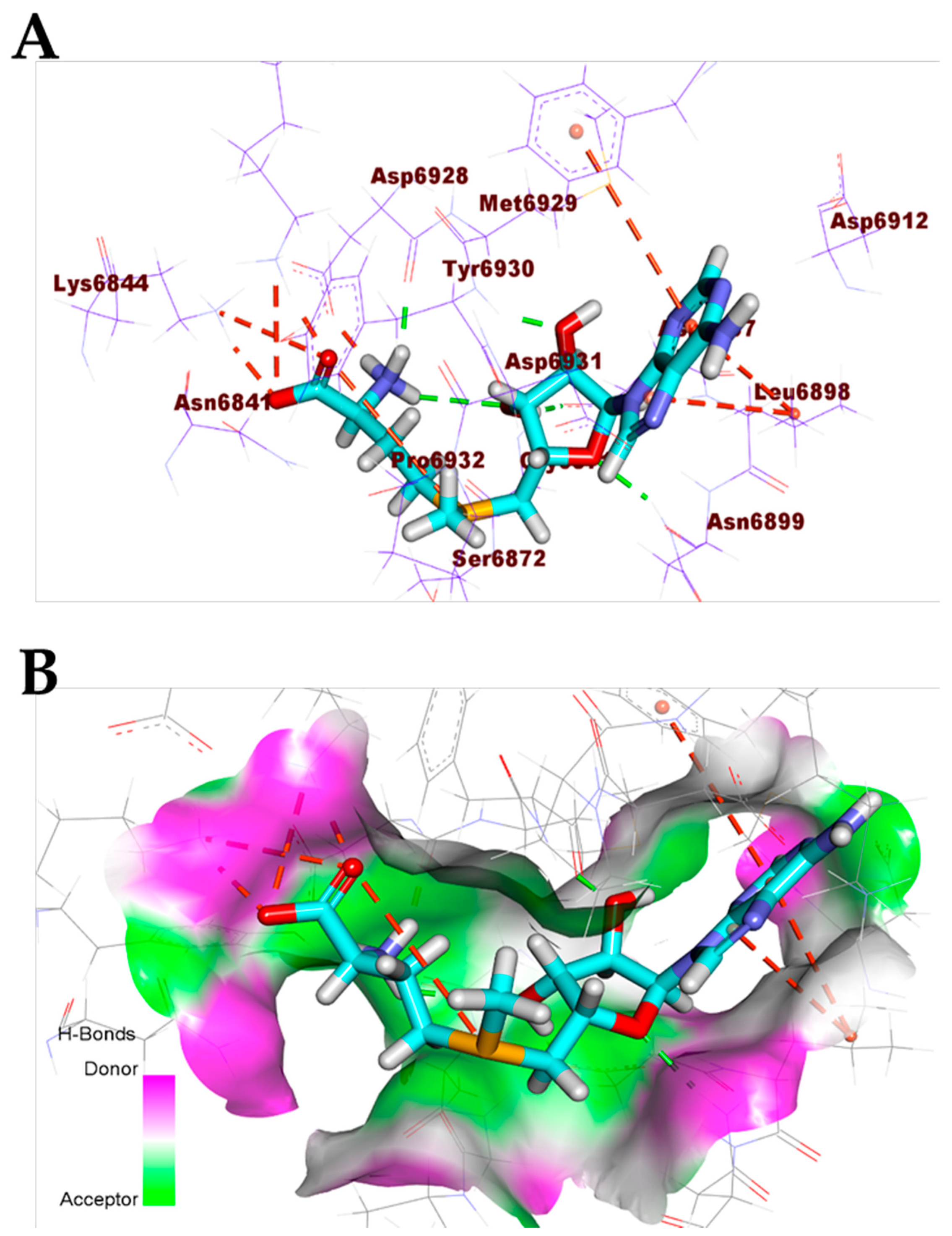 Biomolecules 11 00460 g007 Biomolecules 11 00460 g007