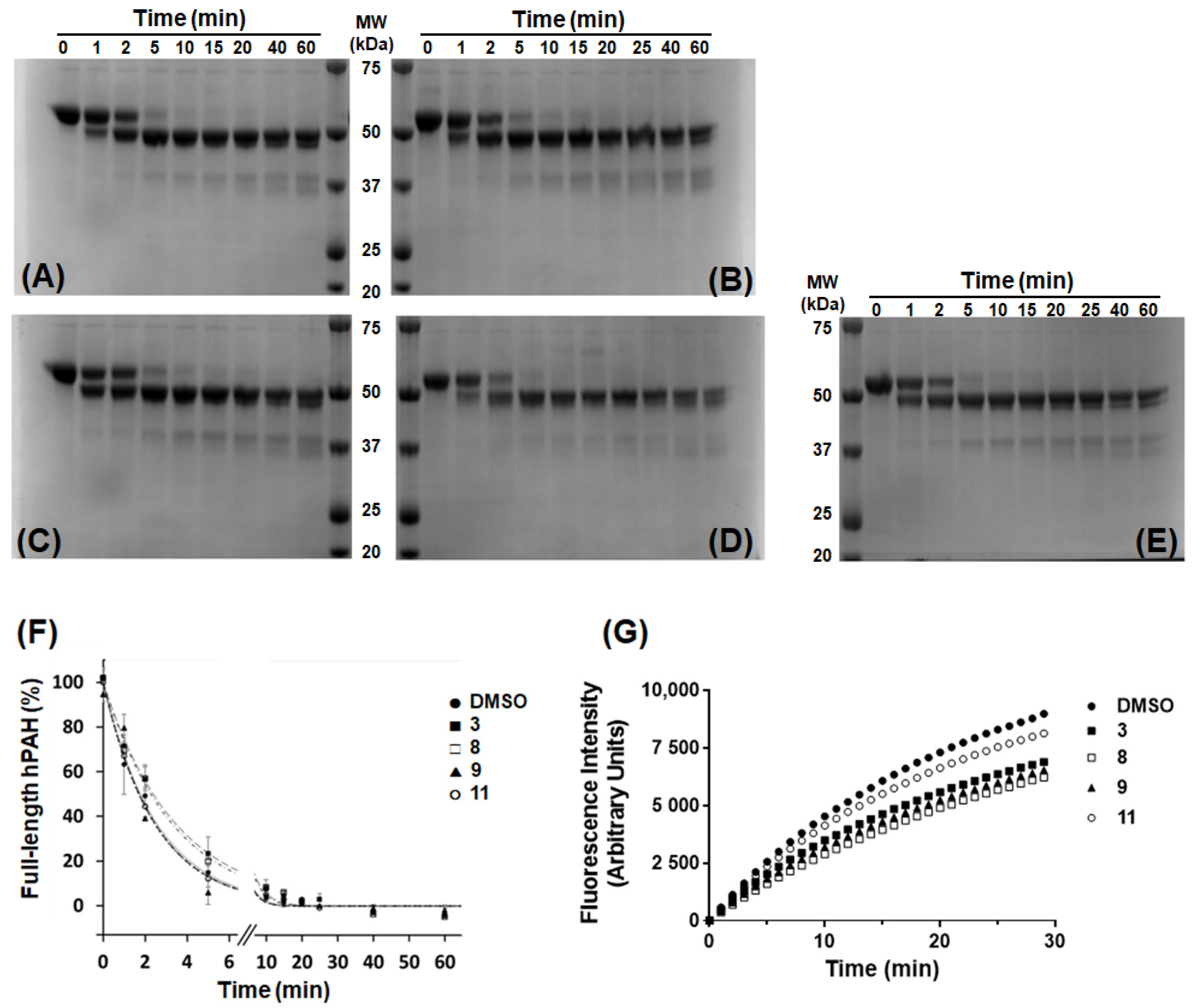 Biomolecules 11 00462 g006