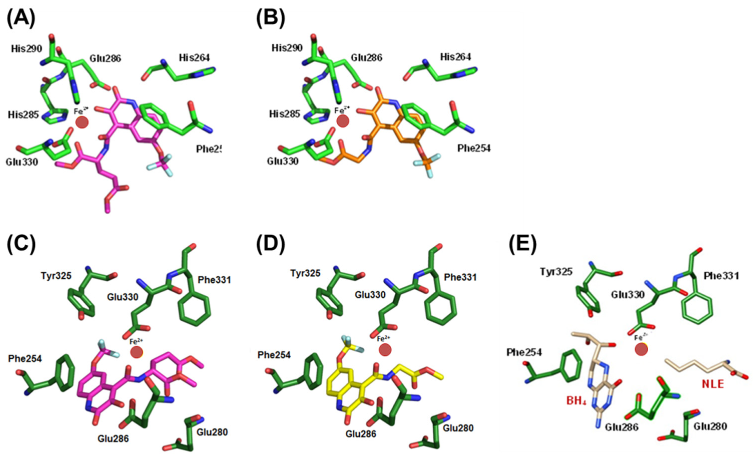 Biomolecules 11 00462 g007