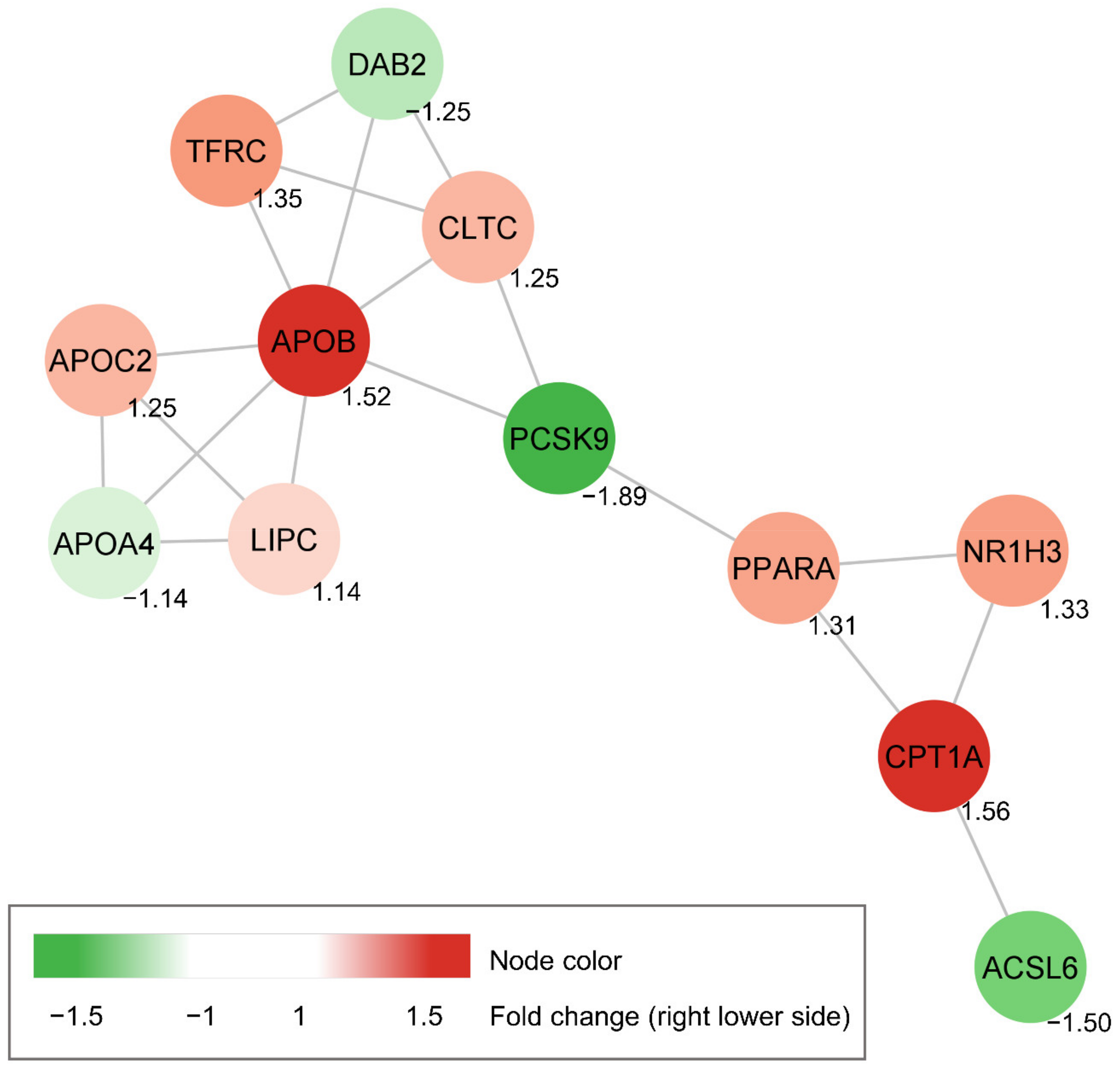 Biomolecules 11 00463 g007 Biomolecules 11 00463 g007