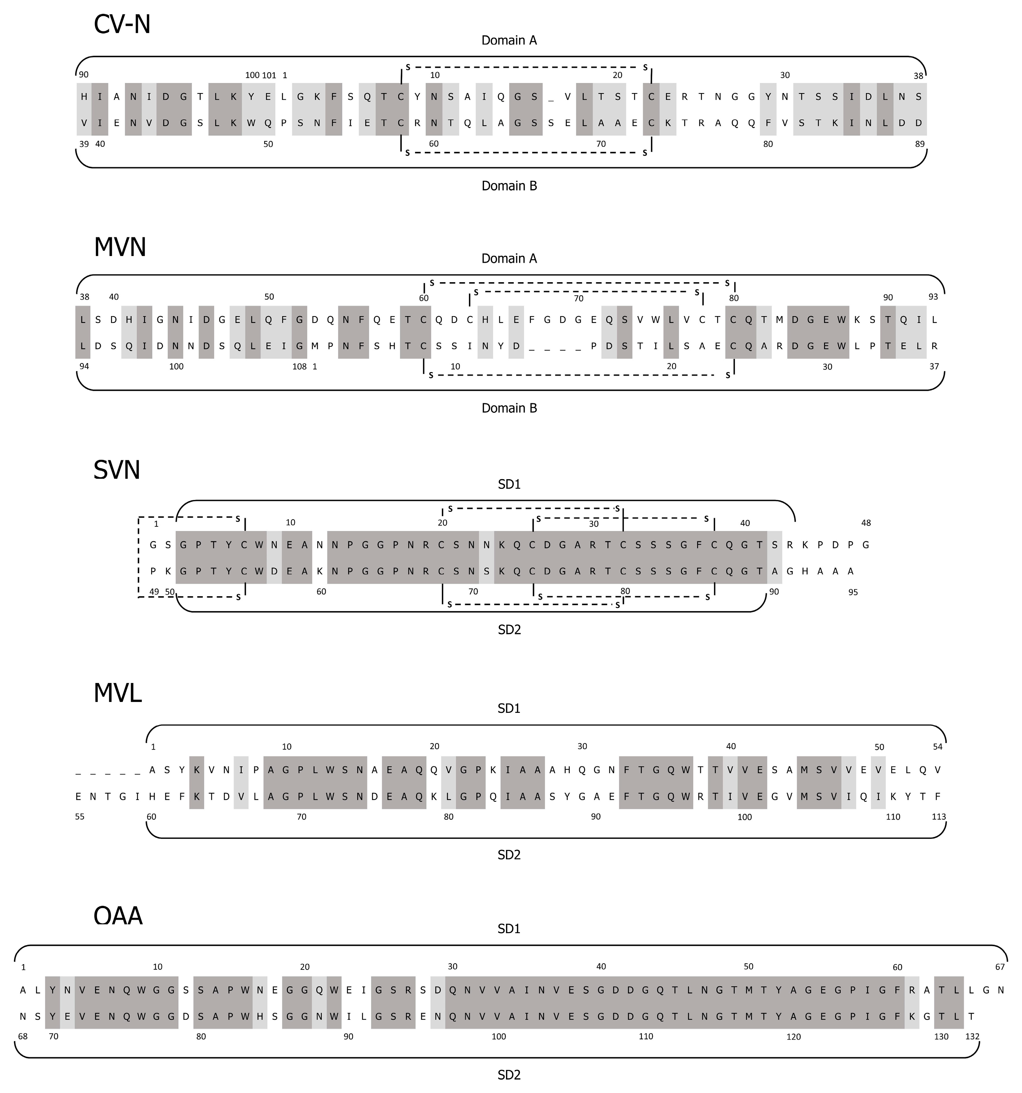 Biomolecules 11 00474 g001