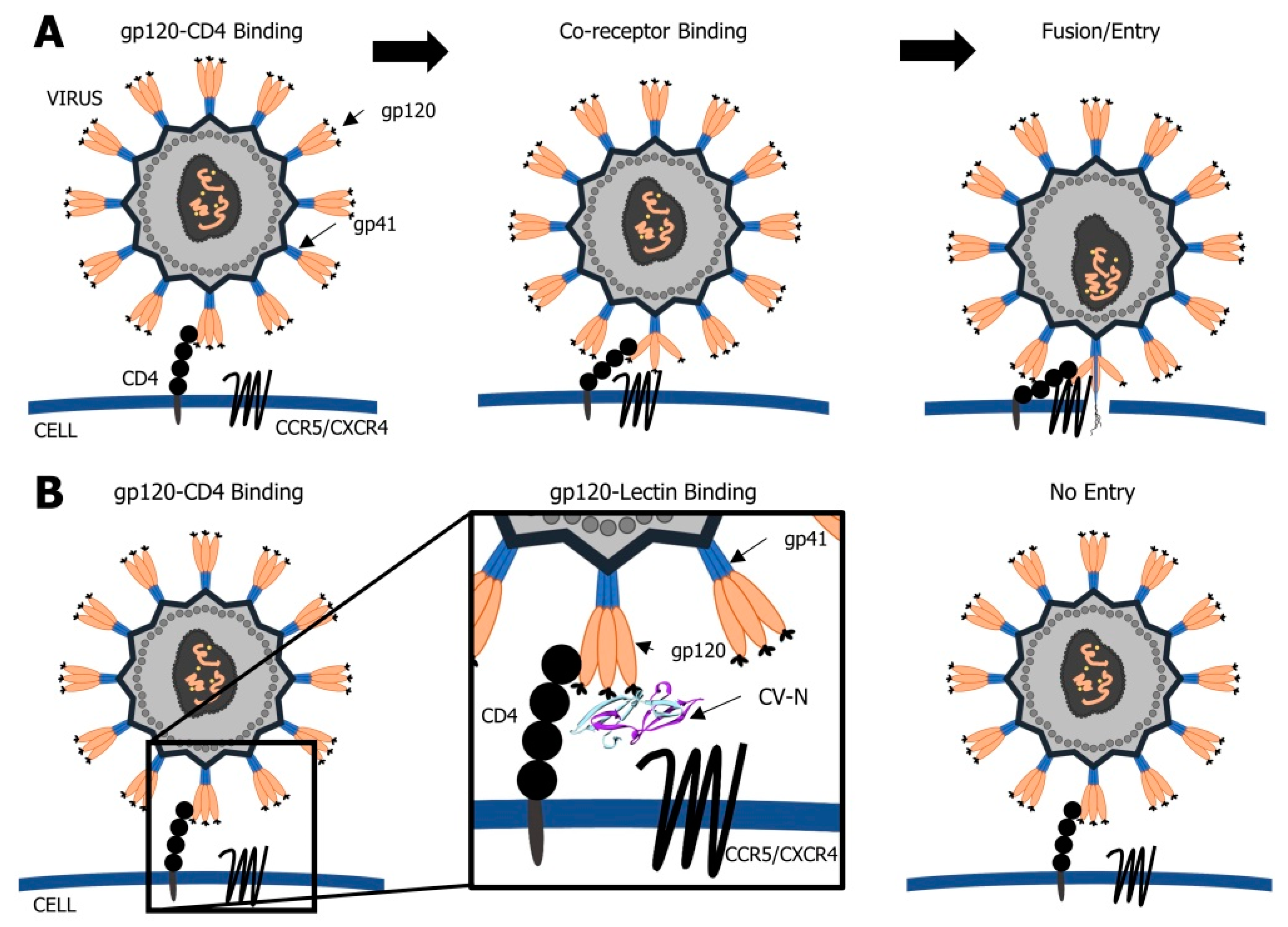 Biomolecules 11 00474 g002