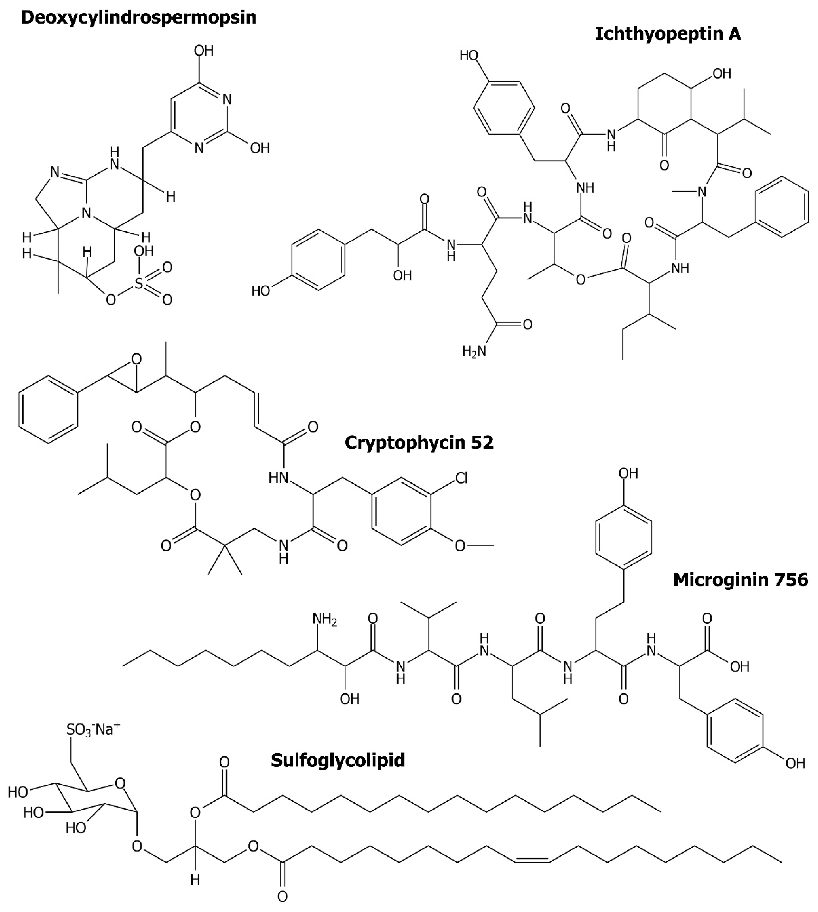 Biomolecules 11 00474 g004