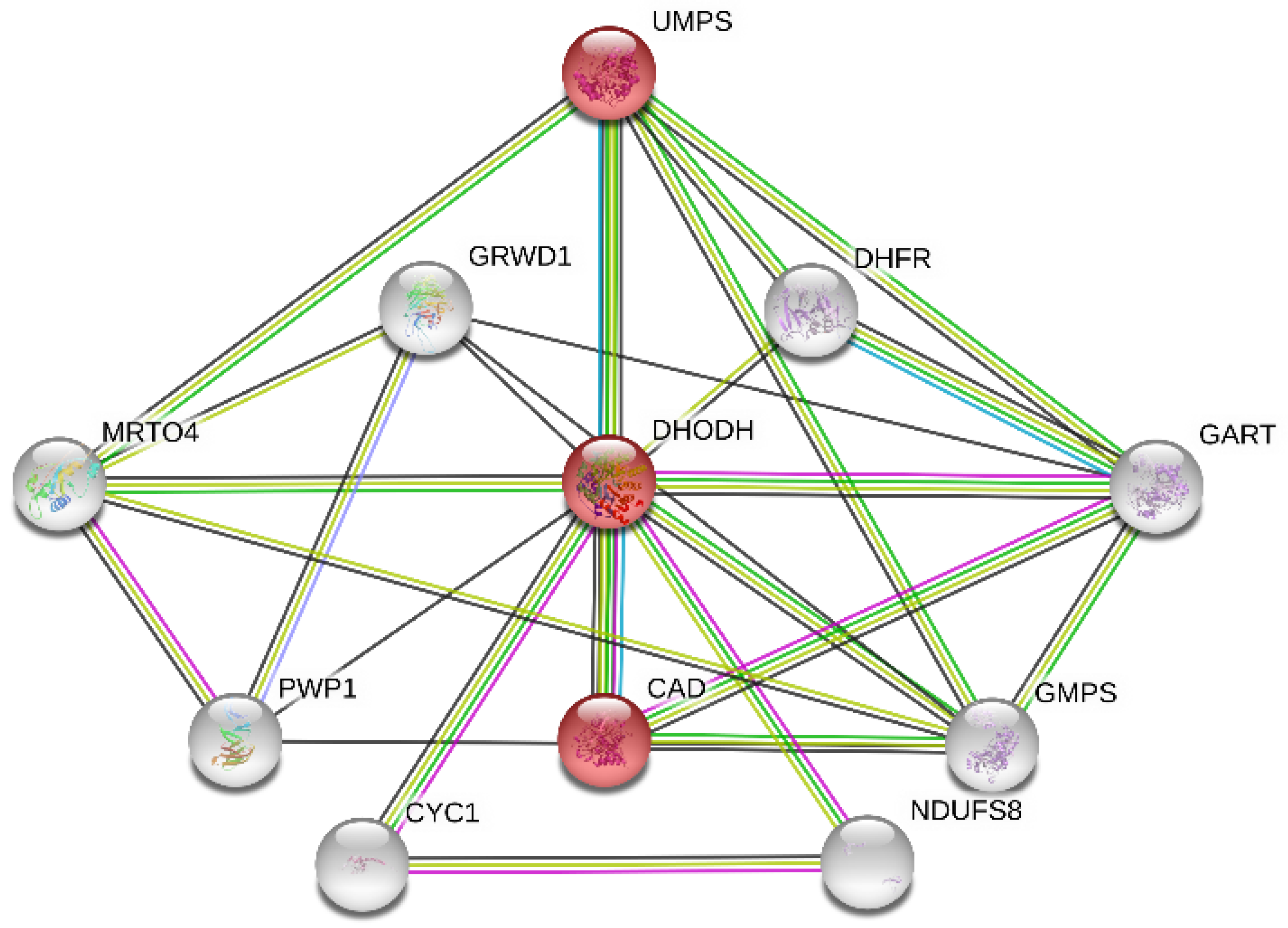Biomolecules 11 00477 g006 Biomolecules 11 00477 g006