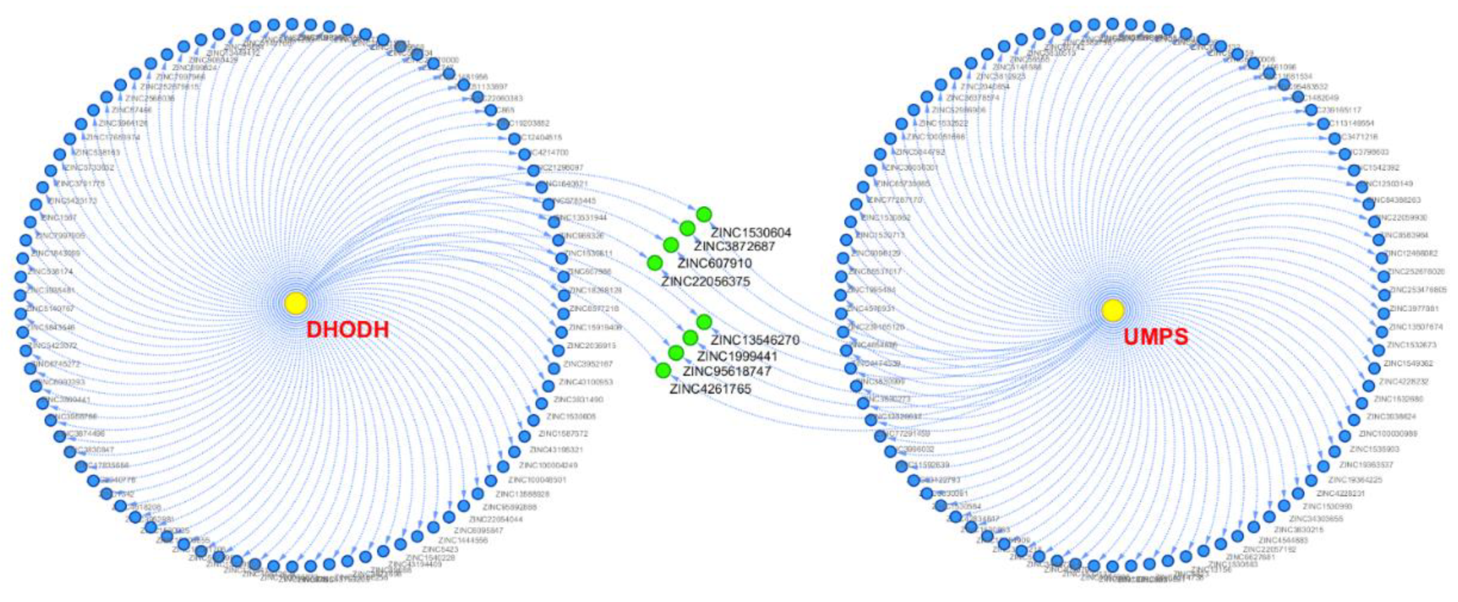 Biomolecules 11 00477 g008 Biomolecules 11 00477 g008