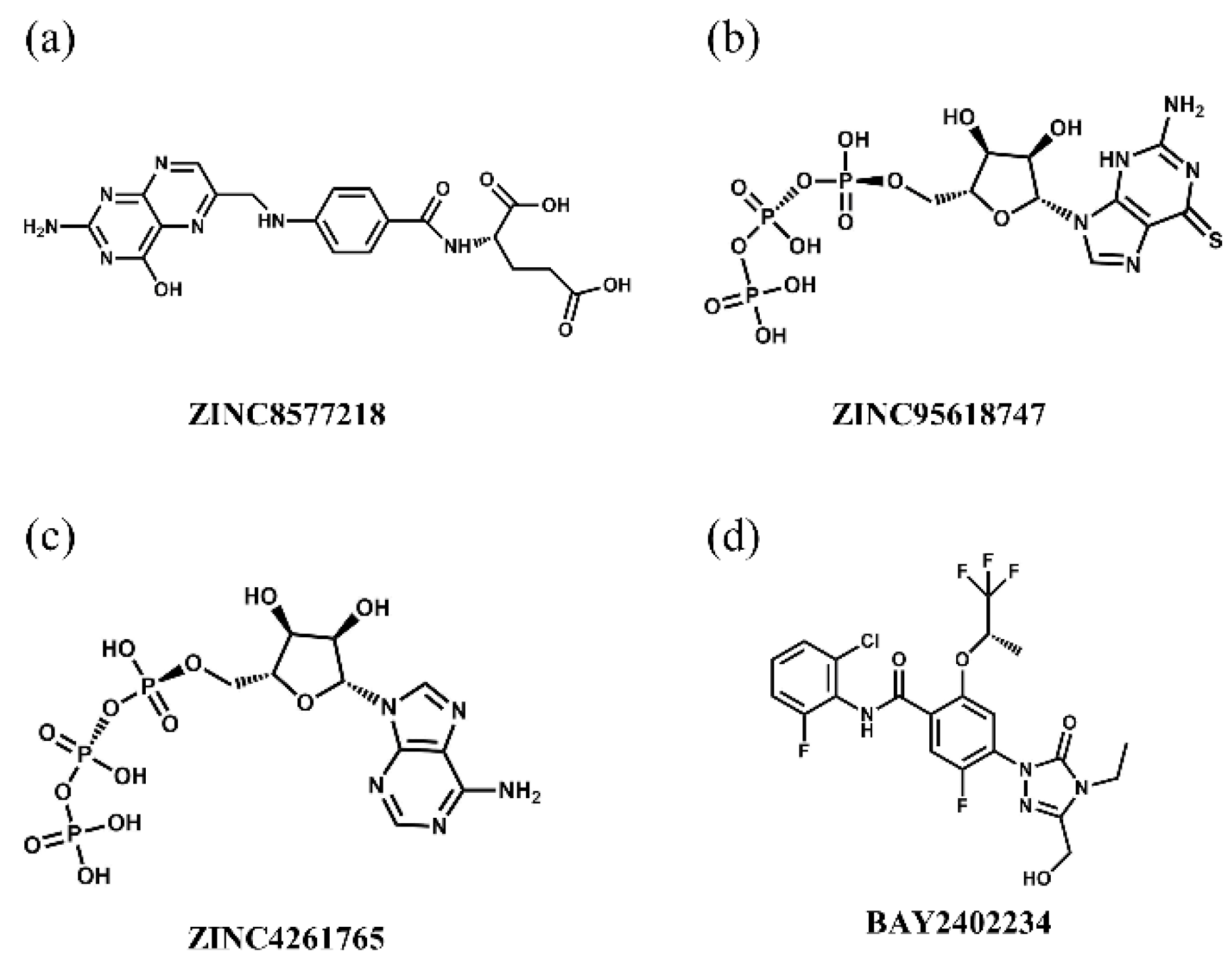 Biomolecules 11 00477 g014 Biomolecules 11 00477 g014
