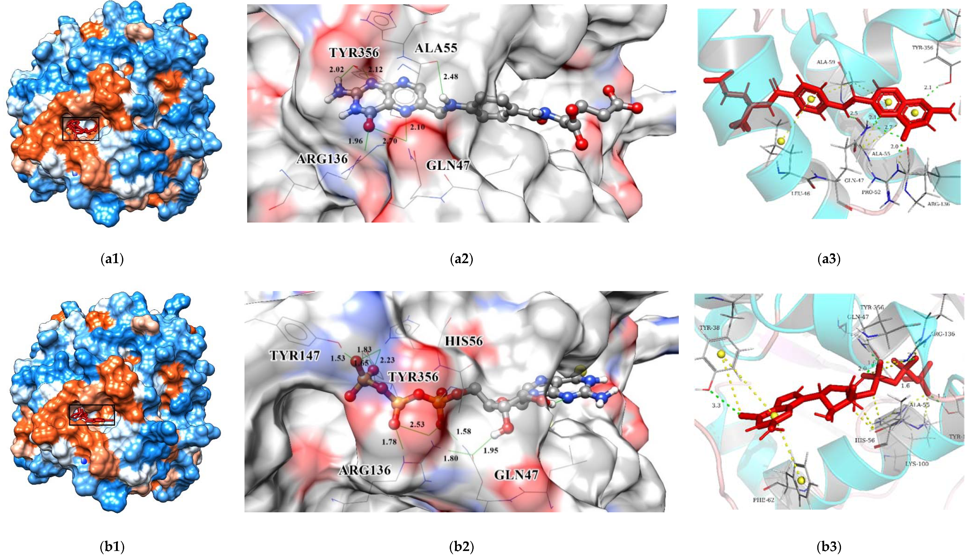 Biomolecules 11 00477 g015a Biomolecules 11 00477 g015a