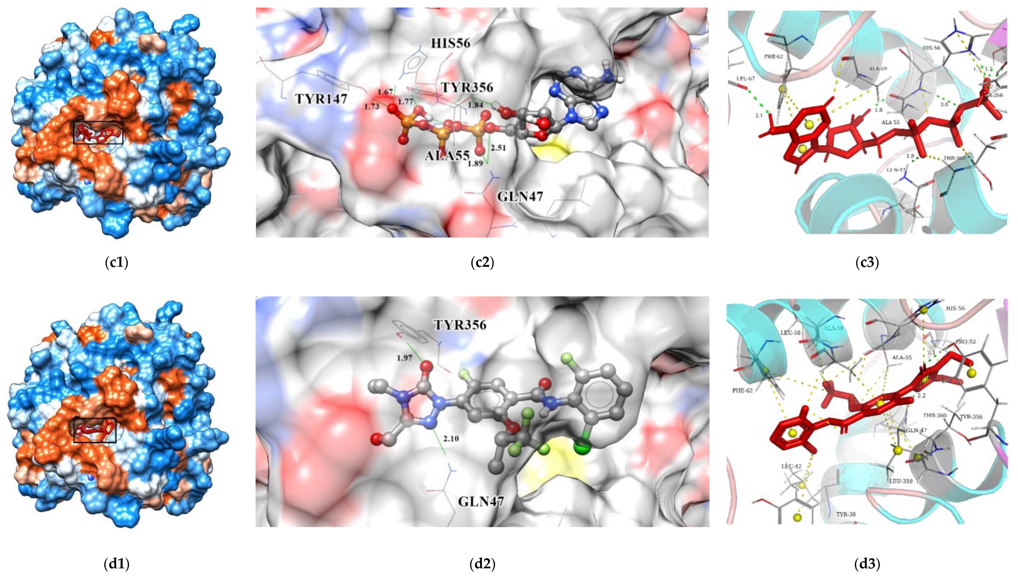 Biomolecules 11 00477 g015b Biomolecules 11 00477 g015b