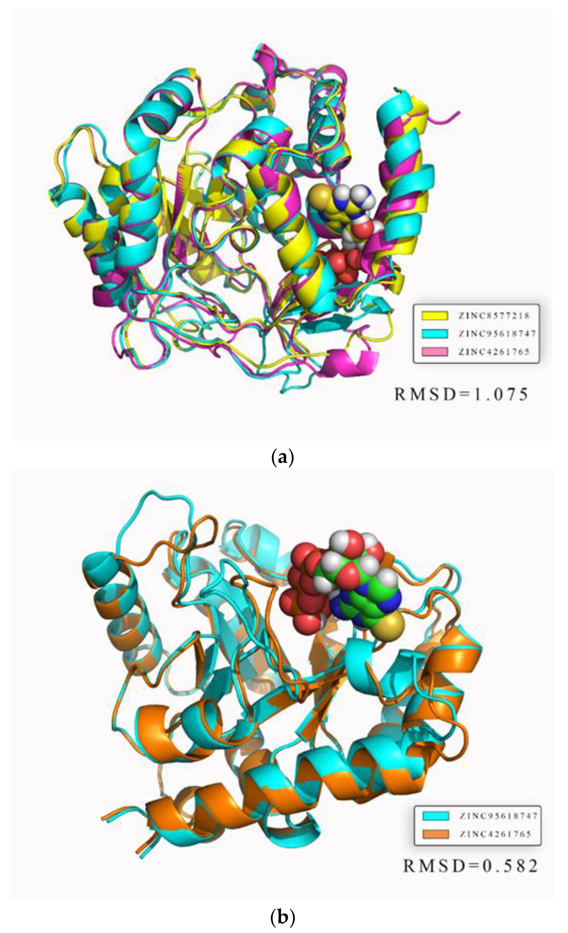 Biomolecules 11 00477 g019 Biomolecules 11 00477 g019