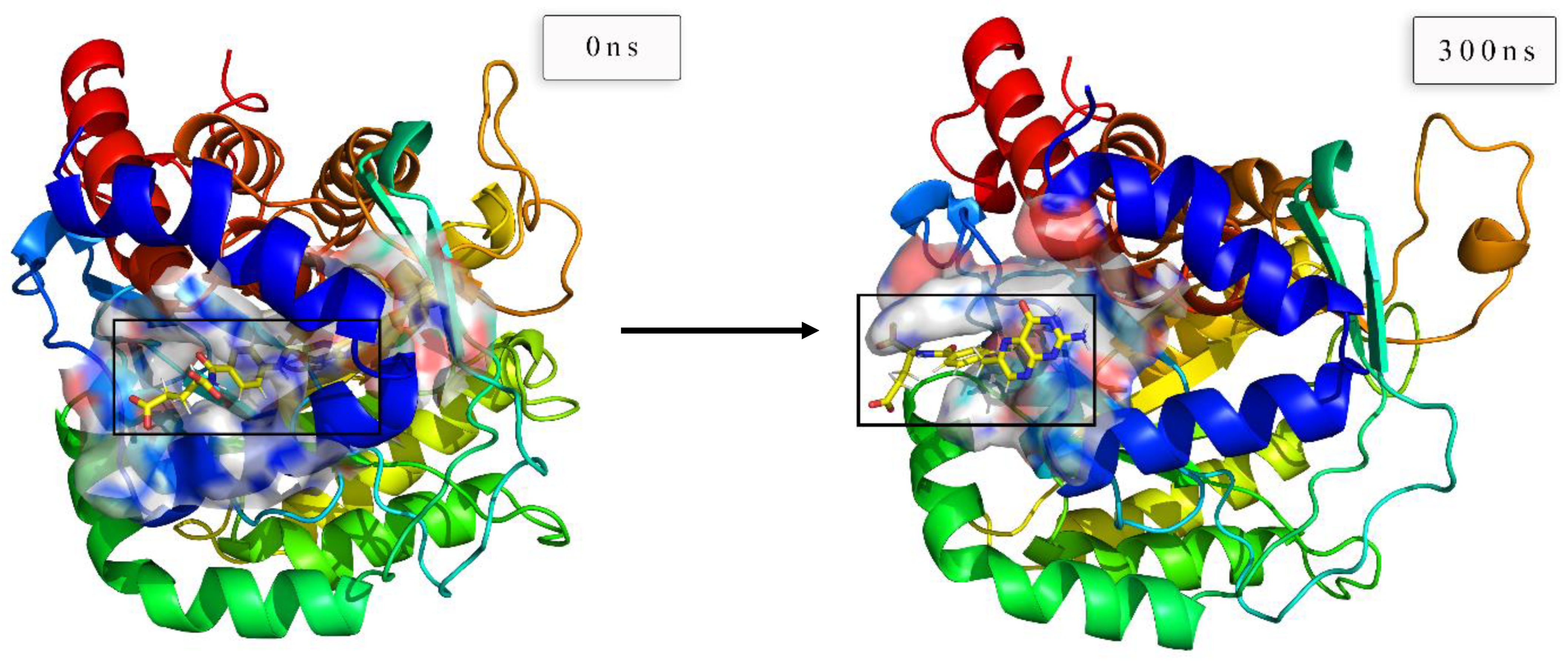 Biomolecules 11 00477 g020a Biomolecules 11 00477 g020a