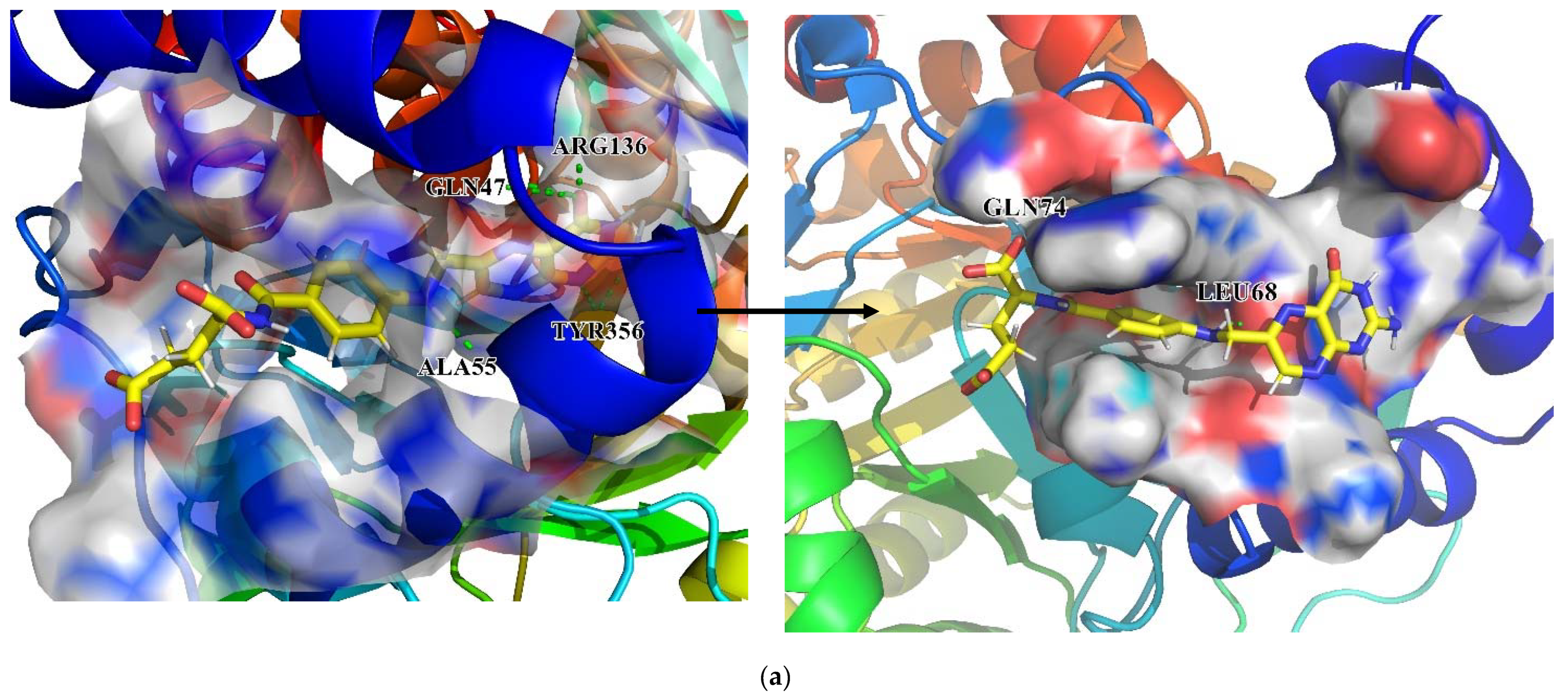 Biomolecules 11 00477 g020b Biomolecules 11 00477 g020b
