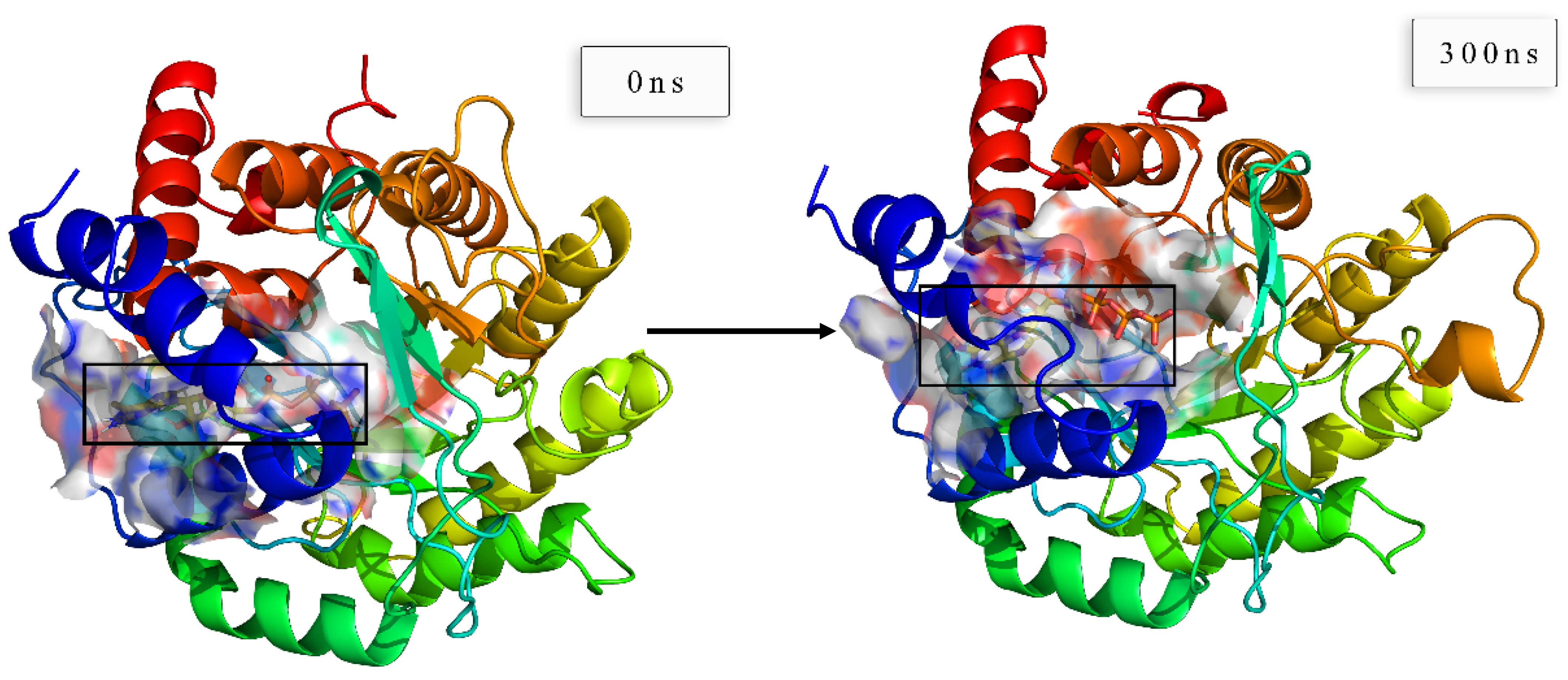 Biomolecules 11 00477 g020c Biomolecules 11 00477 g020c