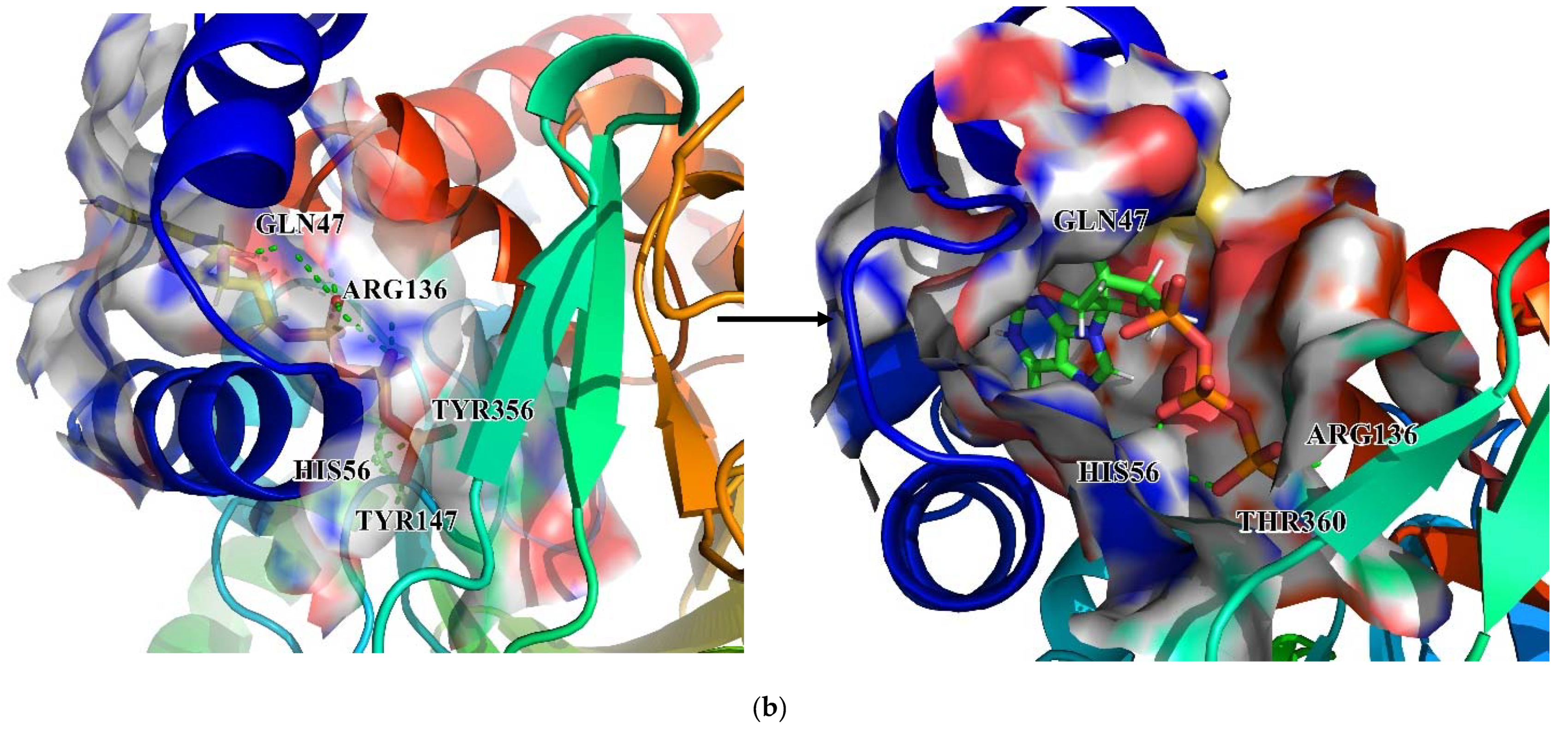 Biomolecules 11 00477 g020d Biomolecules 11 00477 g020d