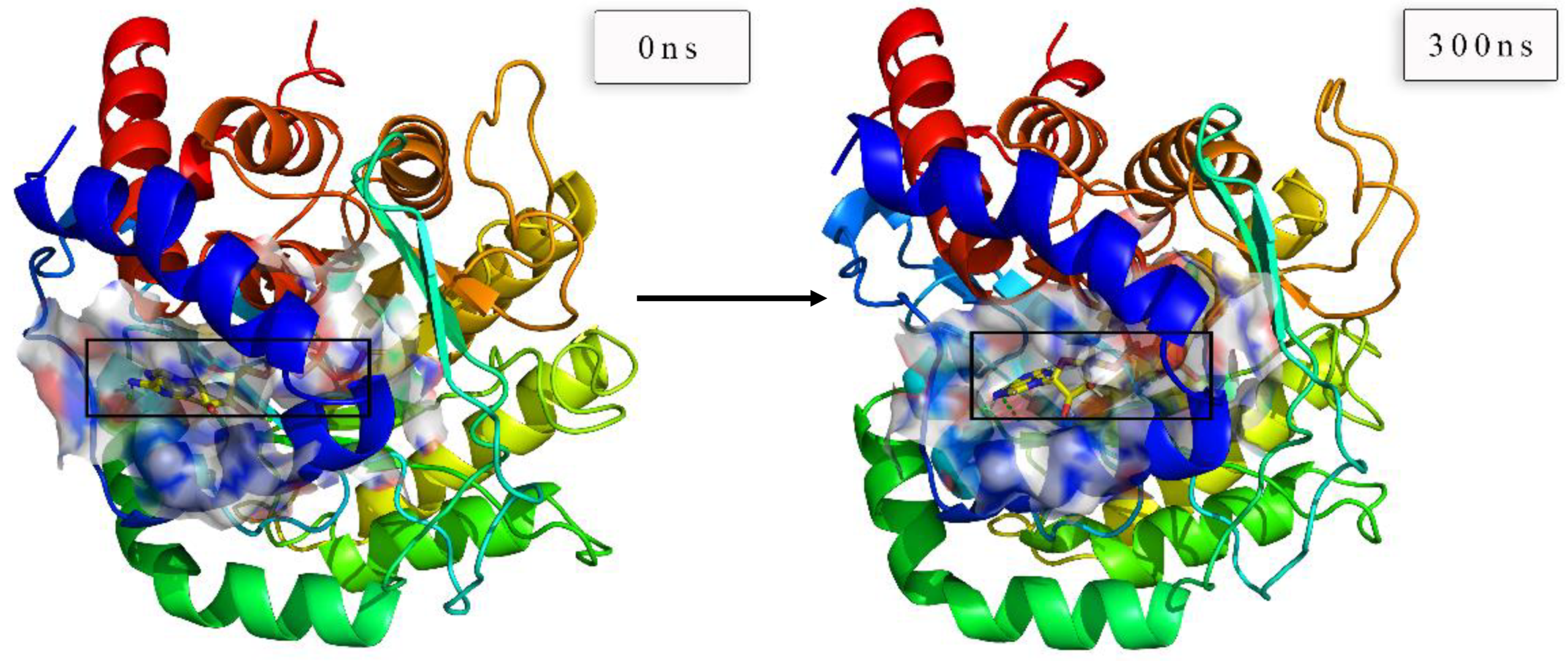 Biomolecules 11 00477 g020e Biomolecules 11 00477 g020e