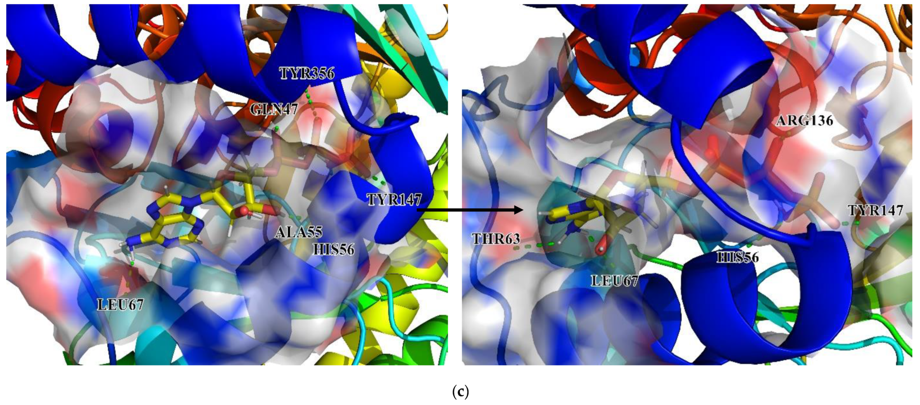 Biomolecules 11 00477 g020f Biomolecules 11 00477 g020f