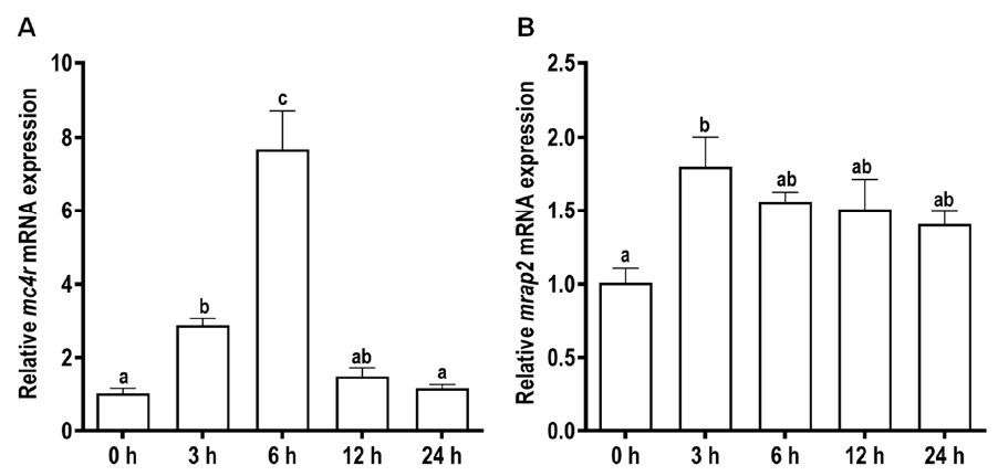 Biomolecules 11 00481 g005 Biomolecules 11 00481 g005