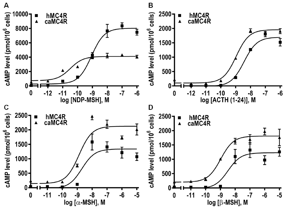 Biomolecules 11 00481 g008 Biomolecules 11 00481 g008