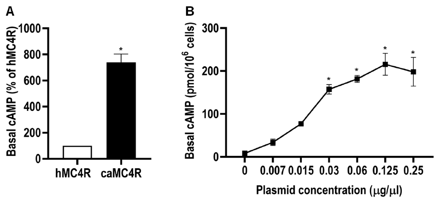 Biomolecules 11 00481 g009 Biomolecules 11 00481 g009