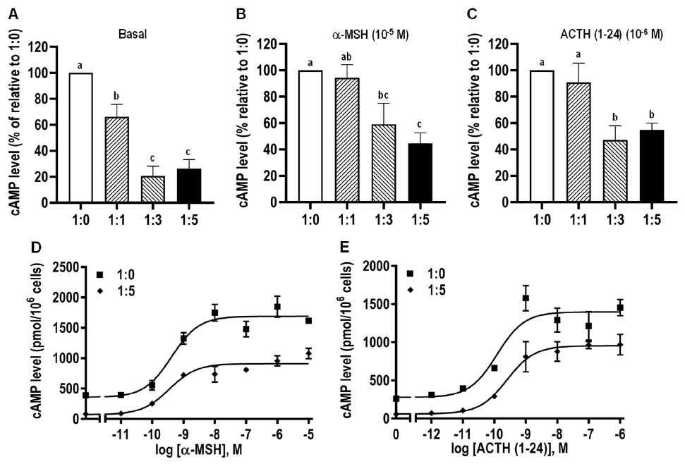 Biomolecules 11 00481 g011 Biomolecules 11 00481 g011