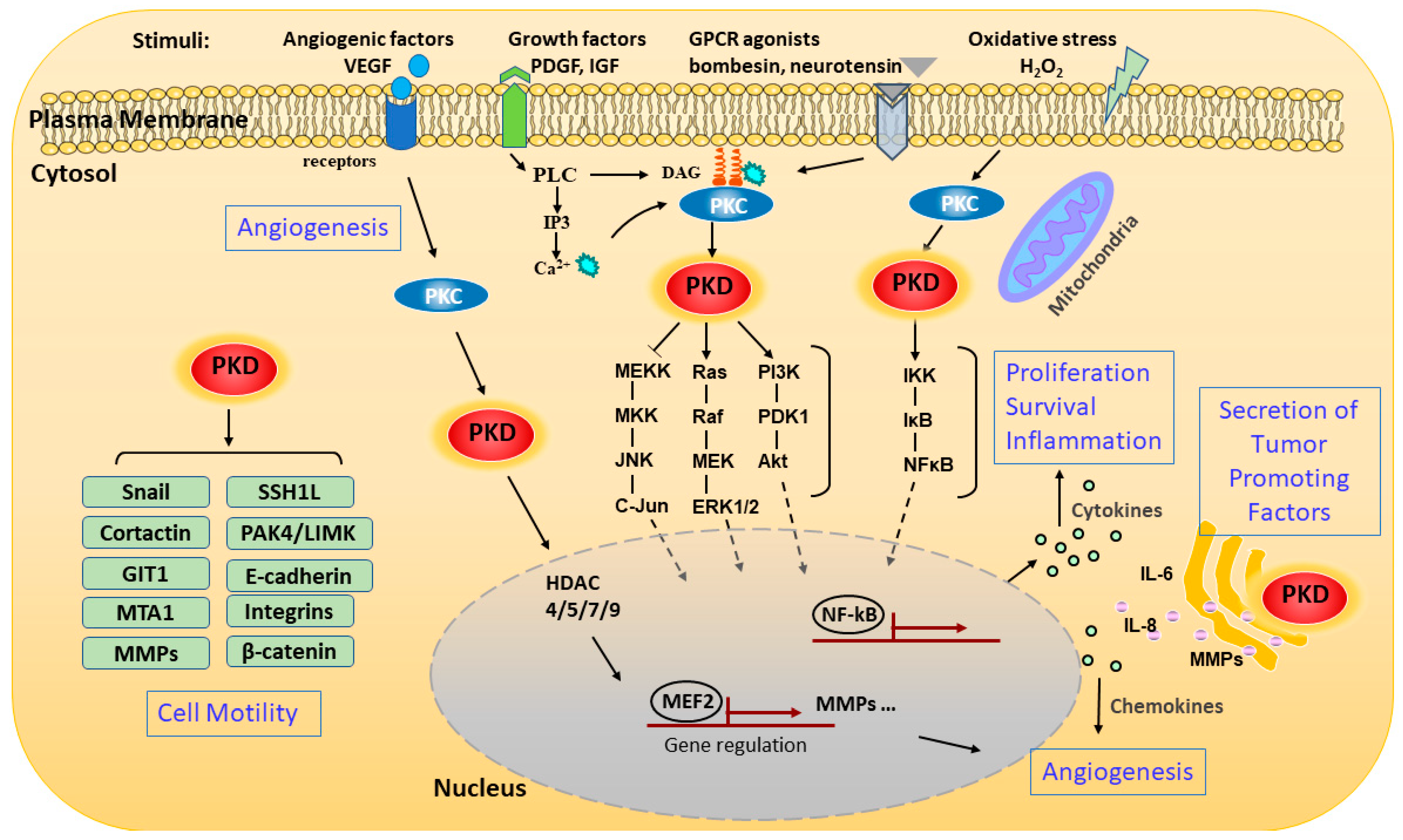 Biomolecules 11 00483 g002