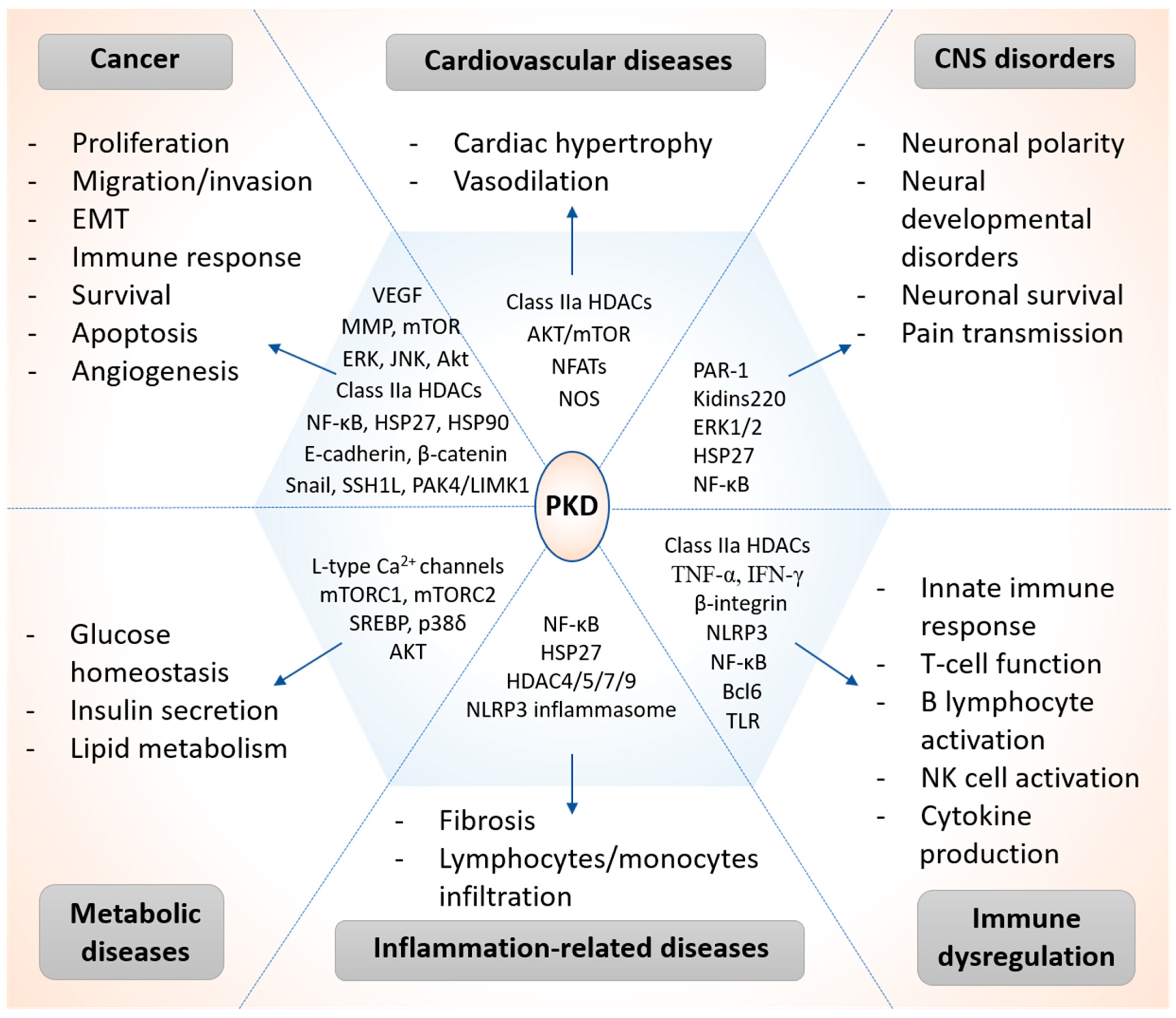 Biomolecules 11 00483 g003