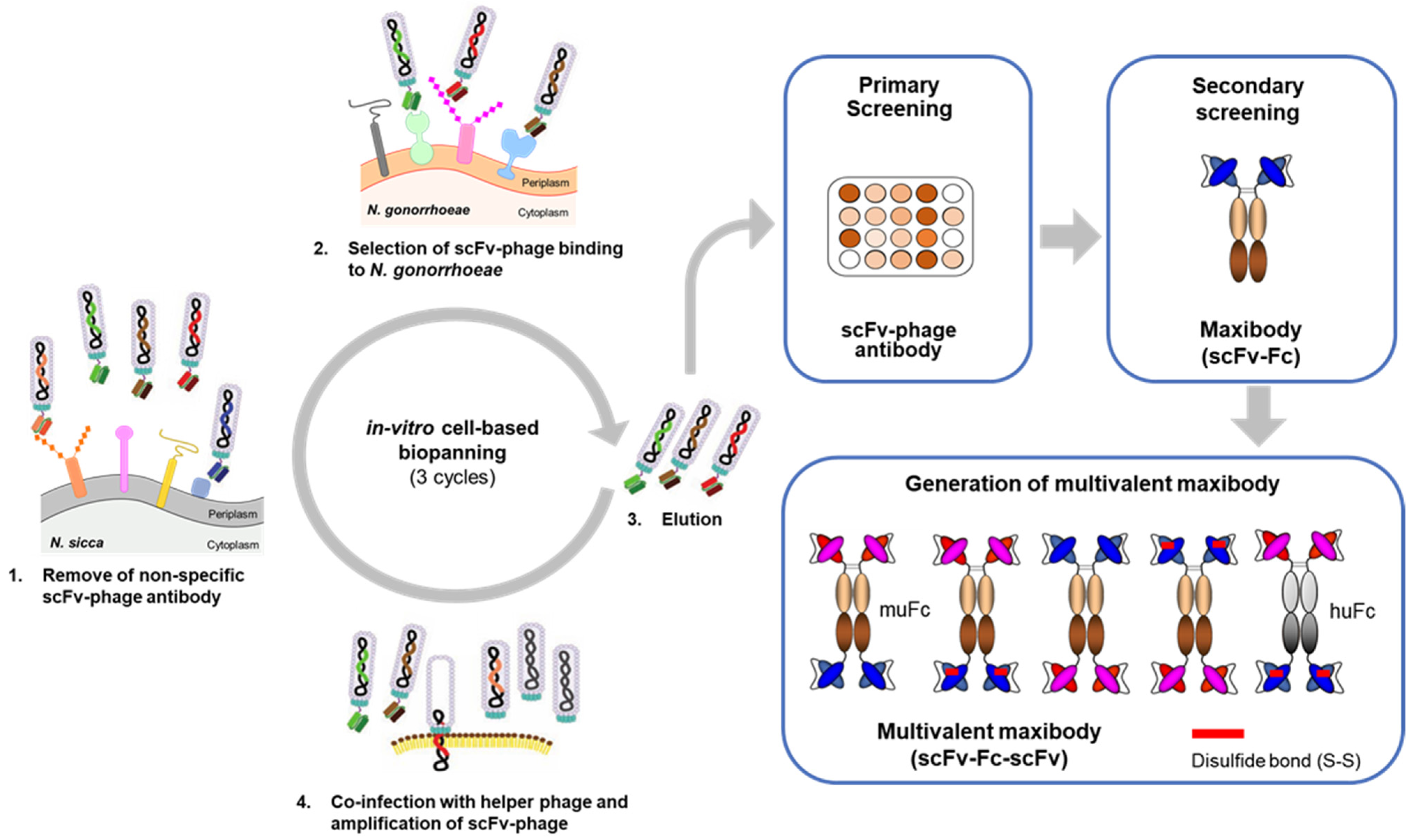 Biomolecules 11 00484 g001 Biomolecules 11 00484 g001