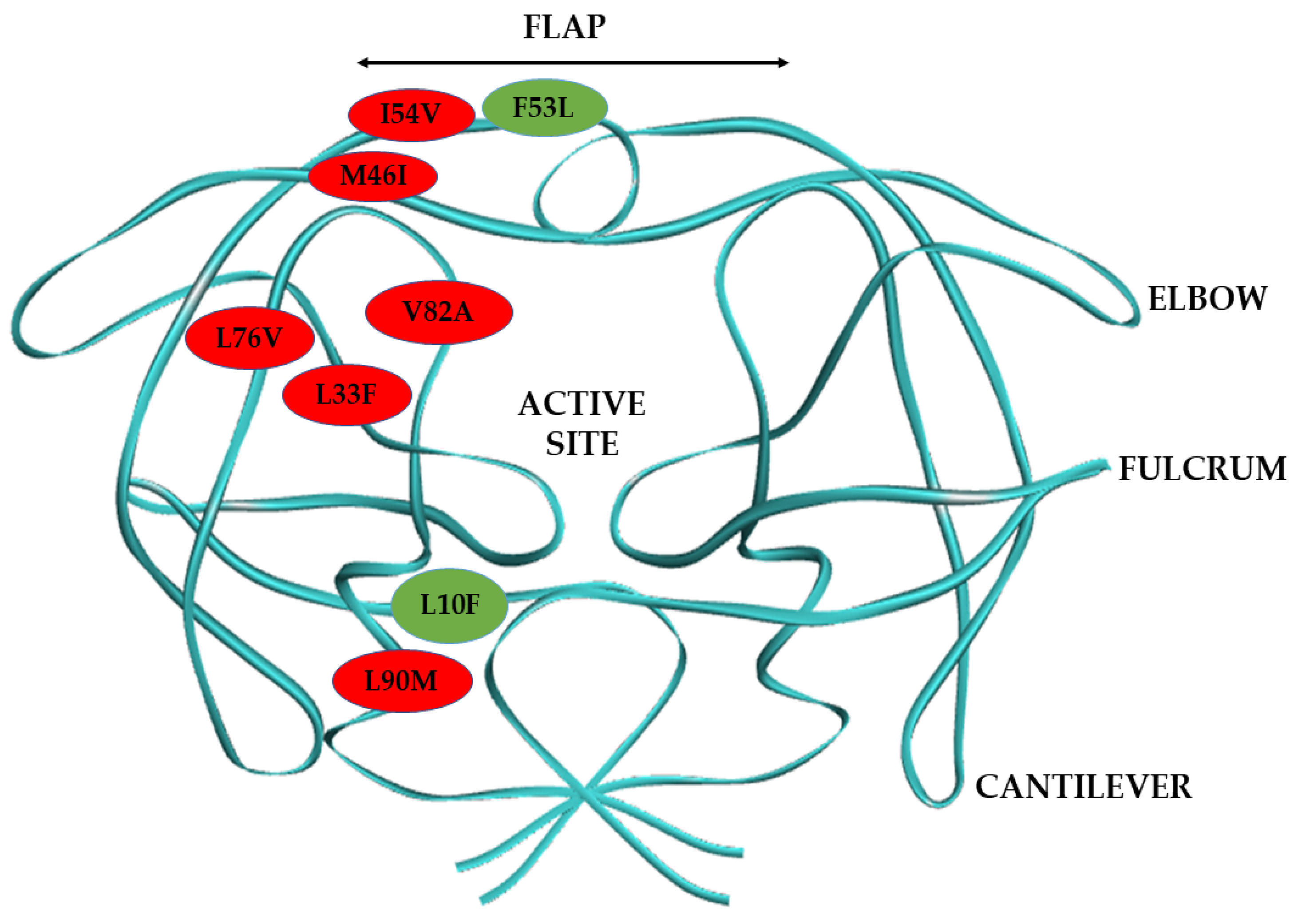 Biomolecules 11 00489 g001