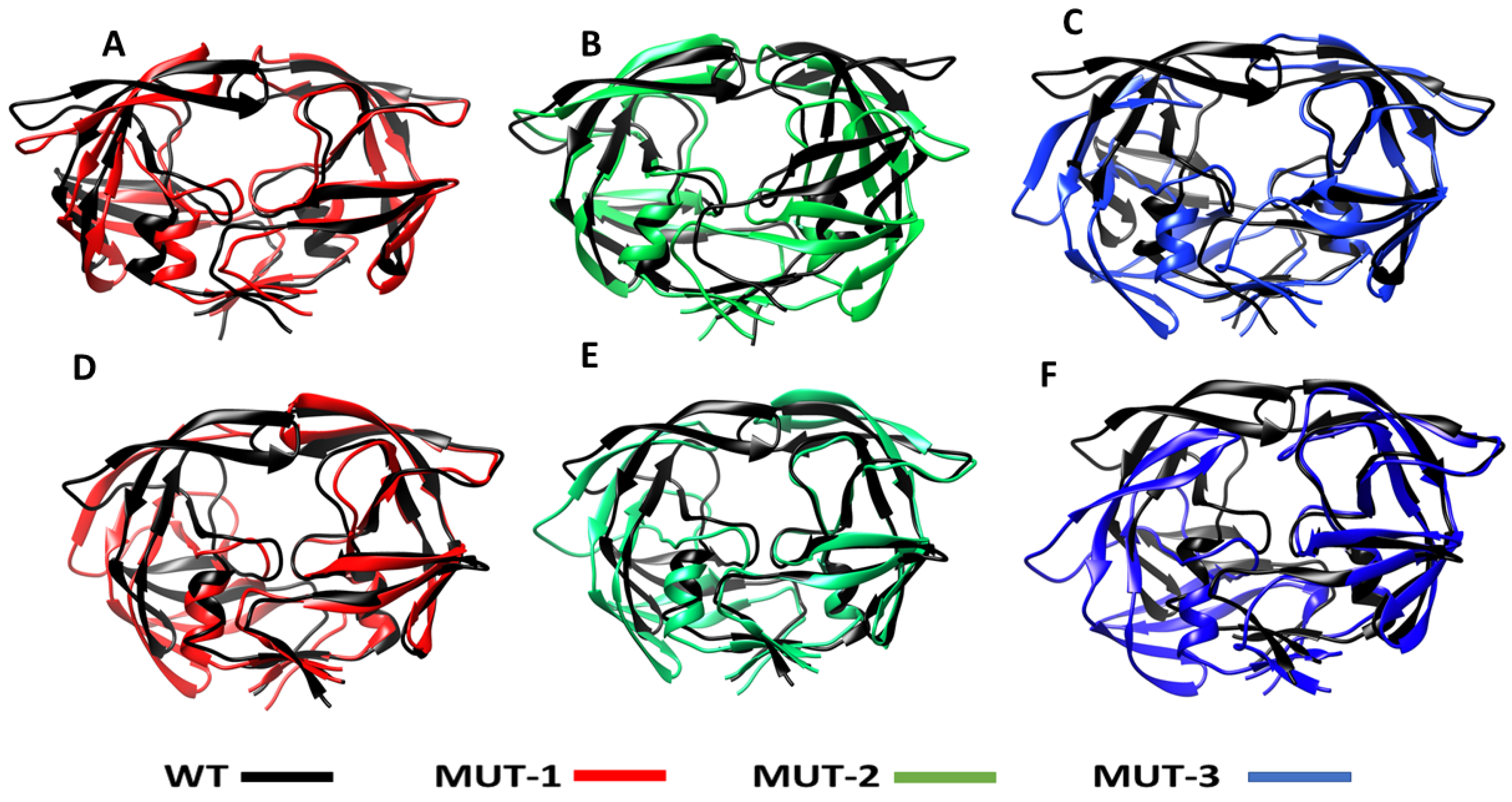 Biomolecules 11 00489 g009