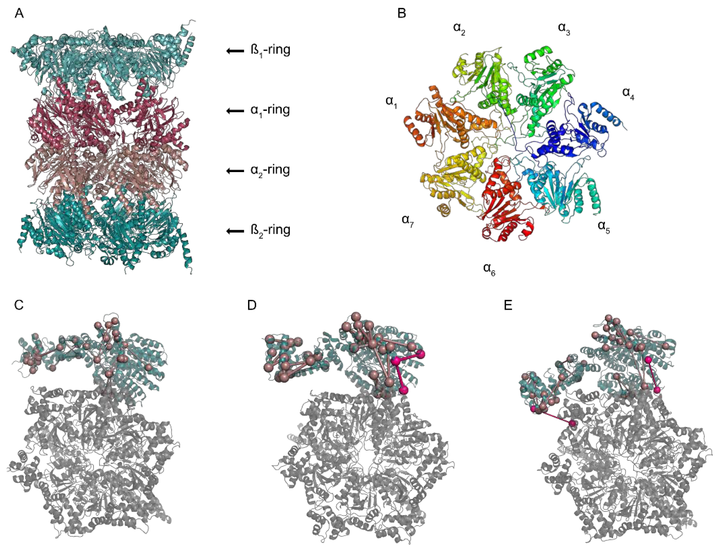 Biomolecules 11 00505 g001 Biomolecules 11 00505 g001