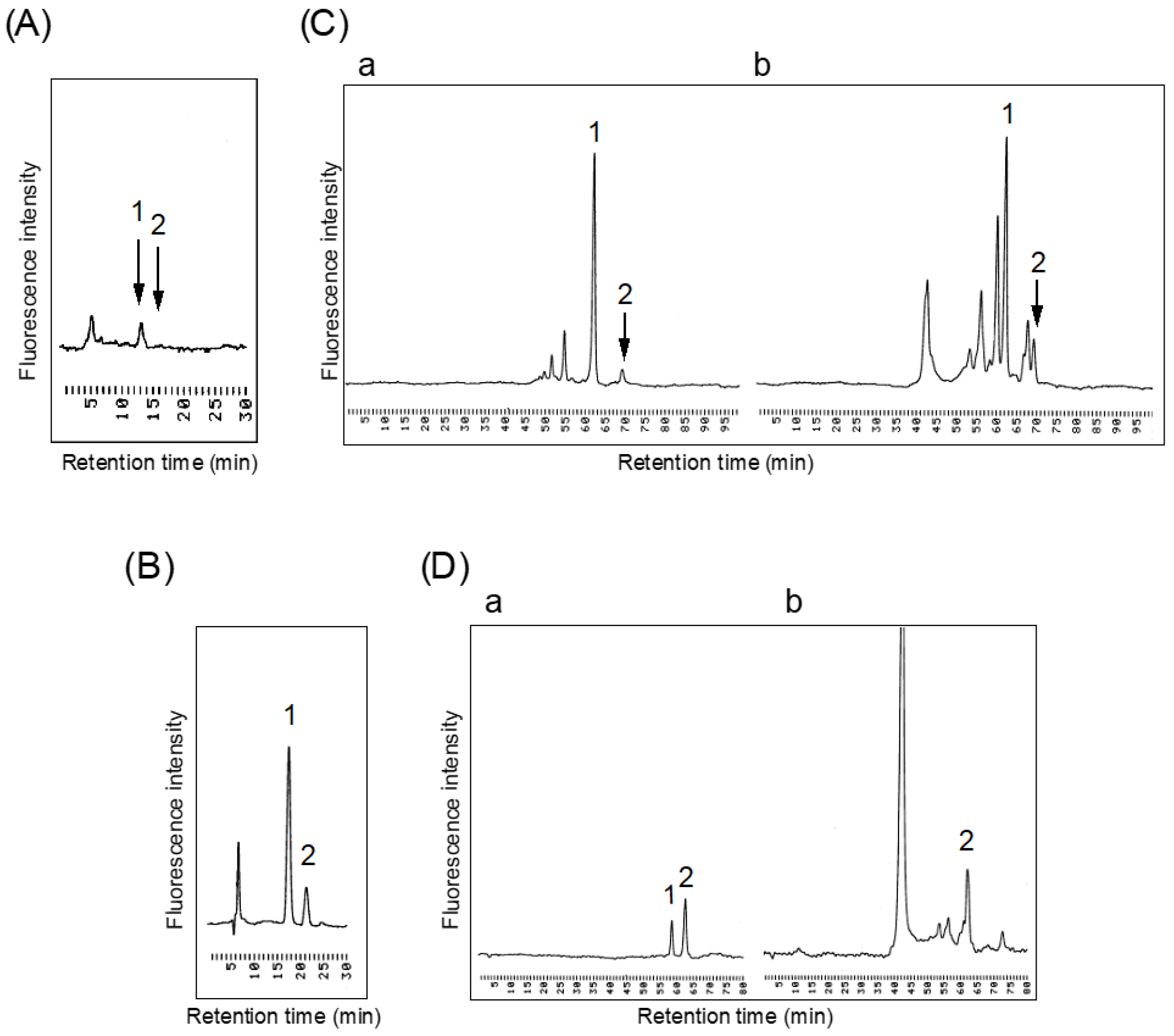 Biomolecules 11 00508 g005