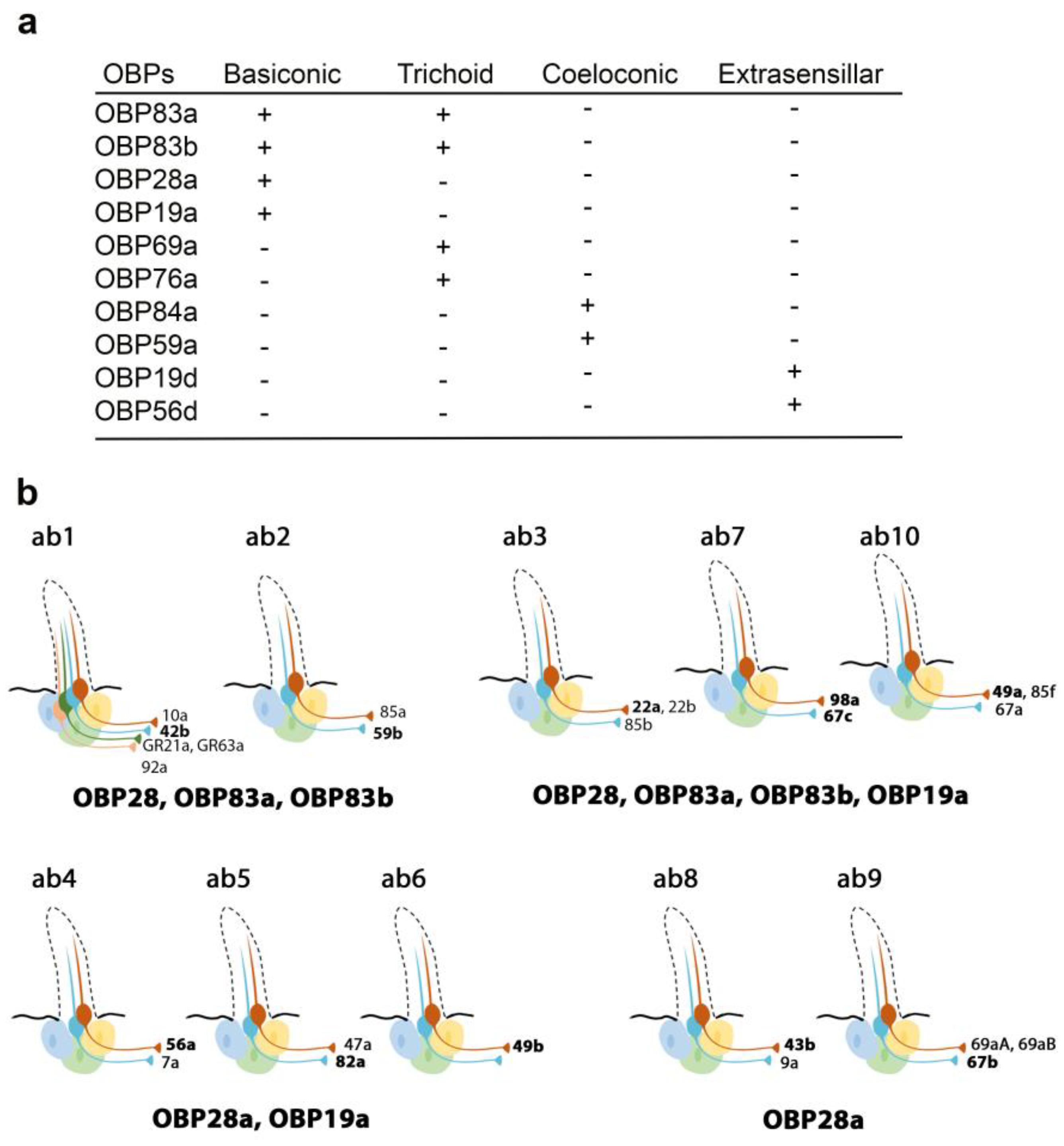 Biomolecules 11 00509 g001