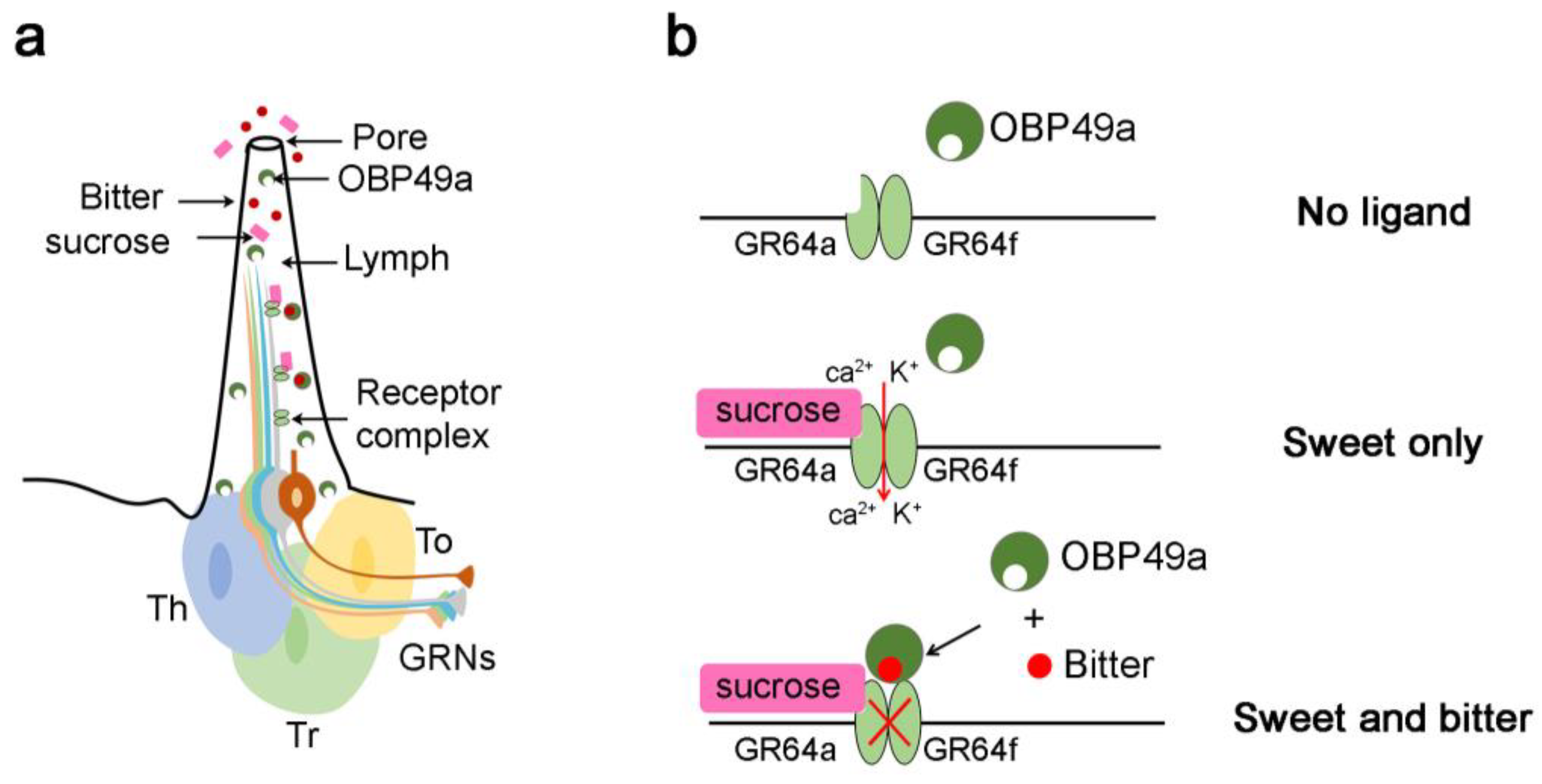 Biomolecules 11 00509 g010